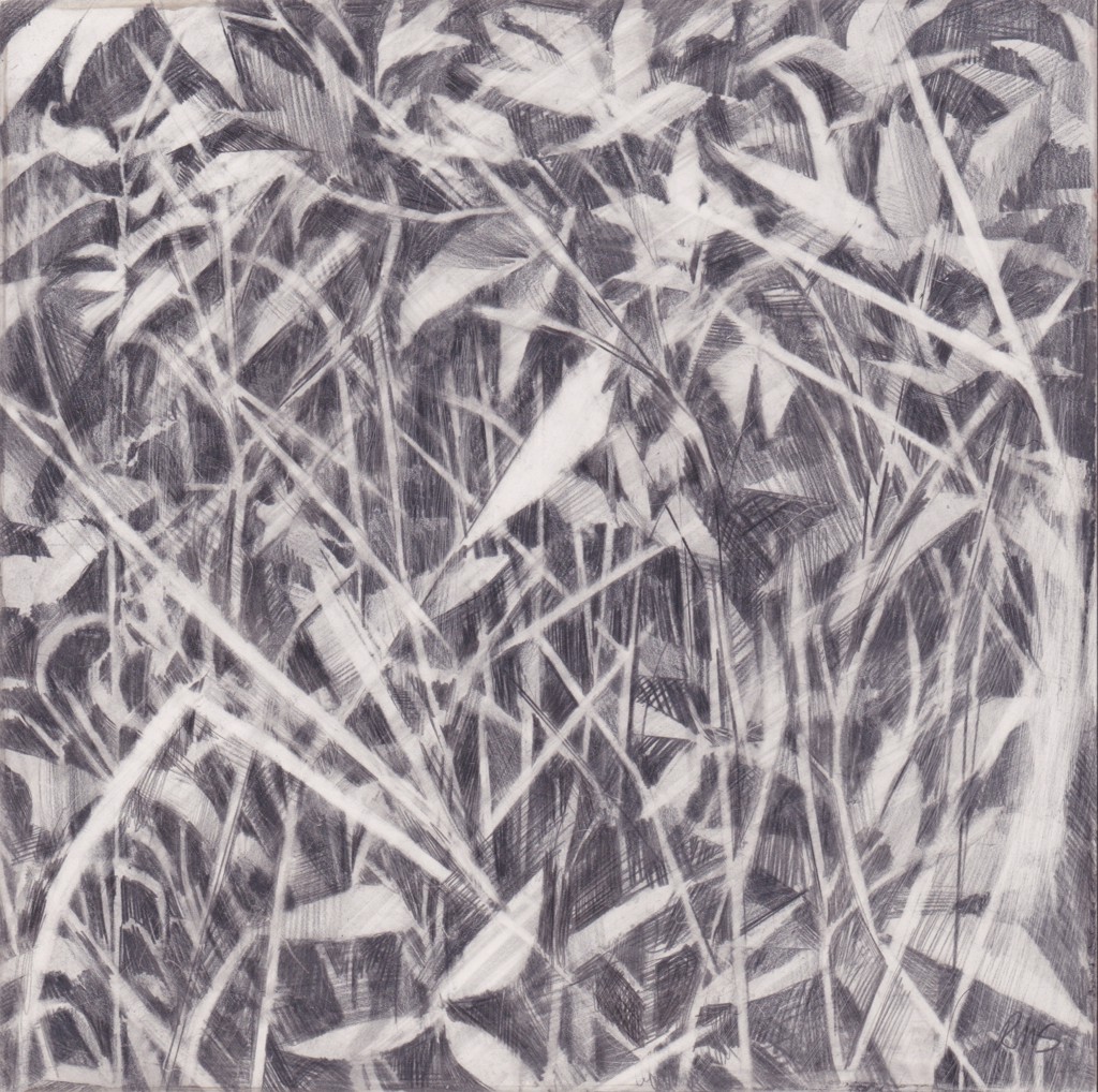Oudolf Study #6 by Rachel Wolfson Smith