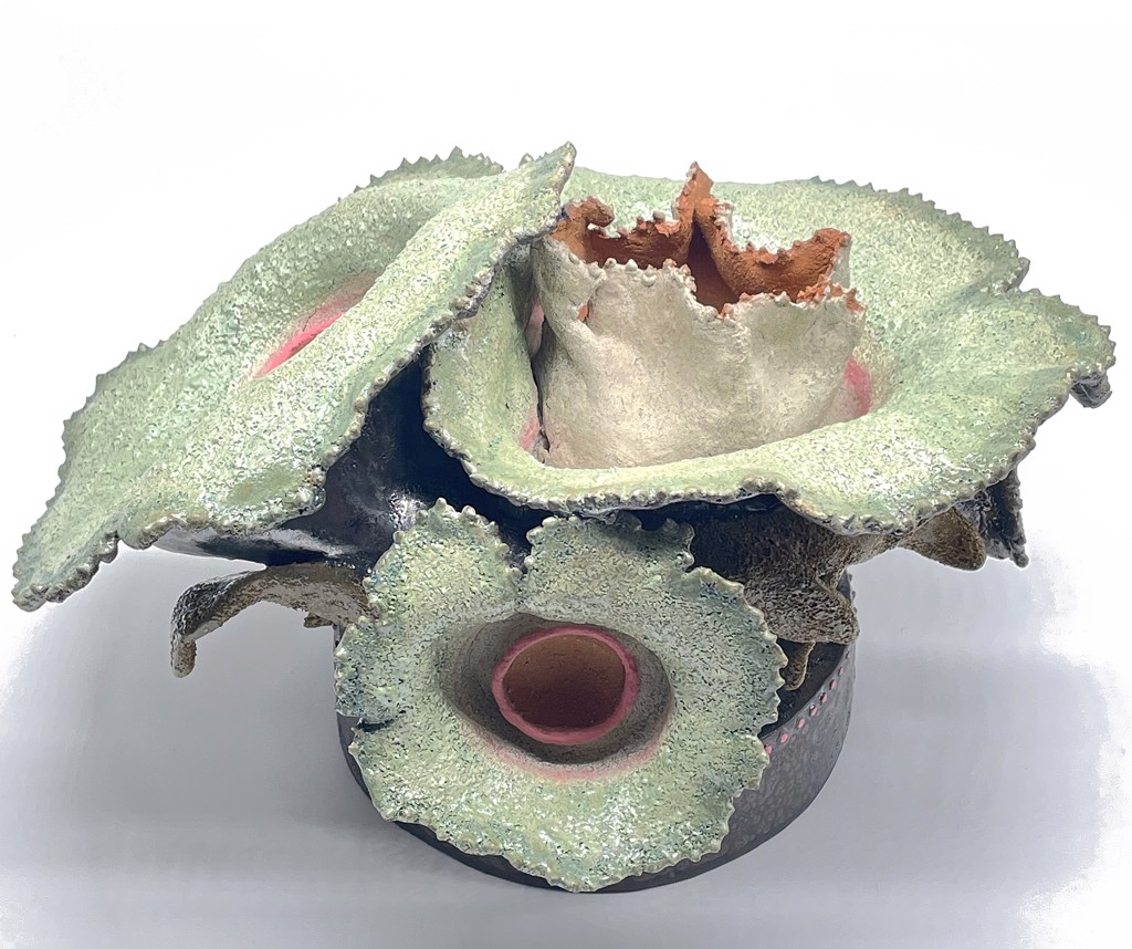 Julie Evans | Pamela Salisbury Gallery