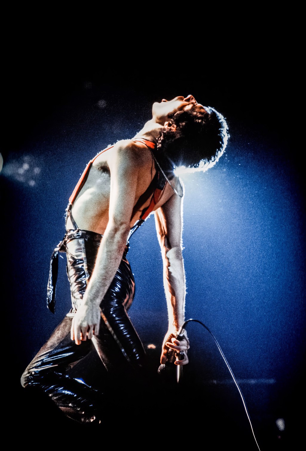 Freddy Mercury on Stage by Roland Morgan