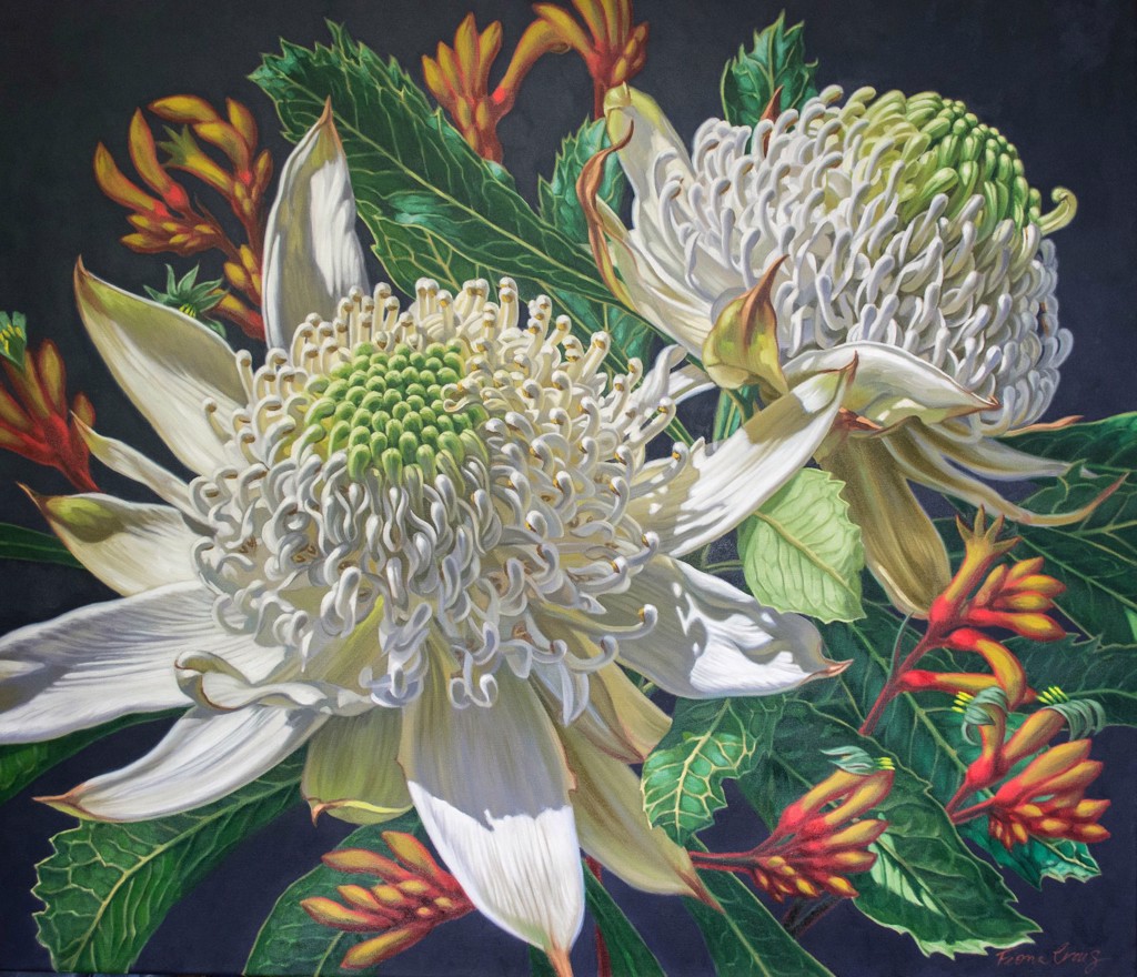 White Waratahs and Kangaroo Paws by Fiona Craig