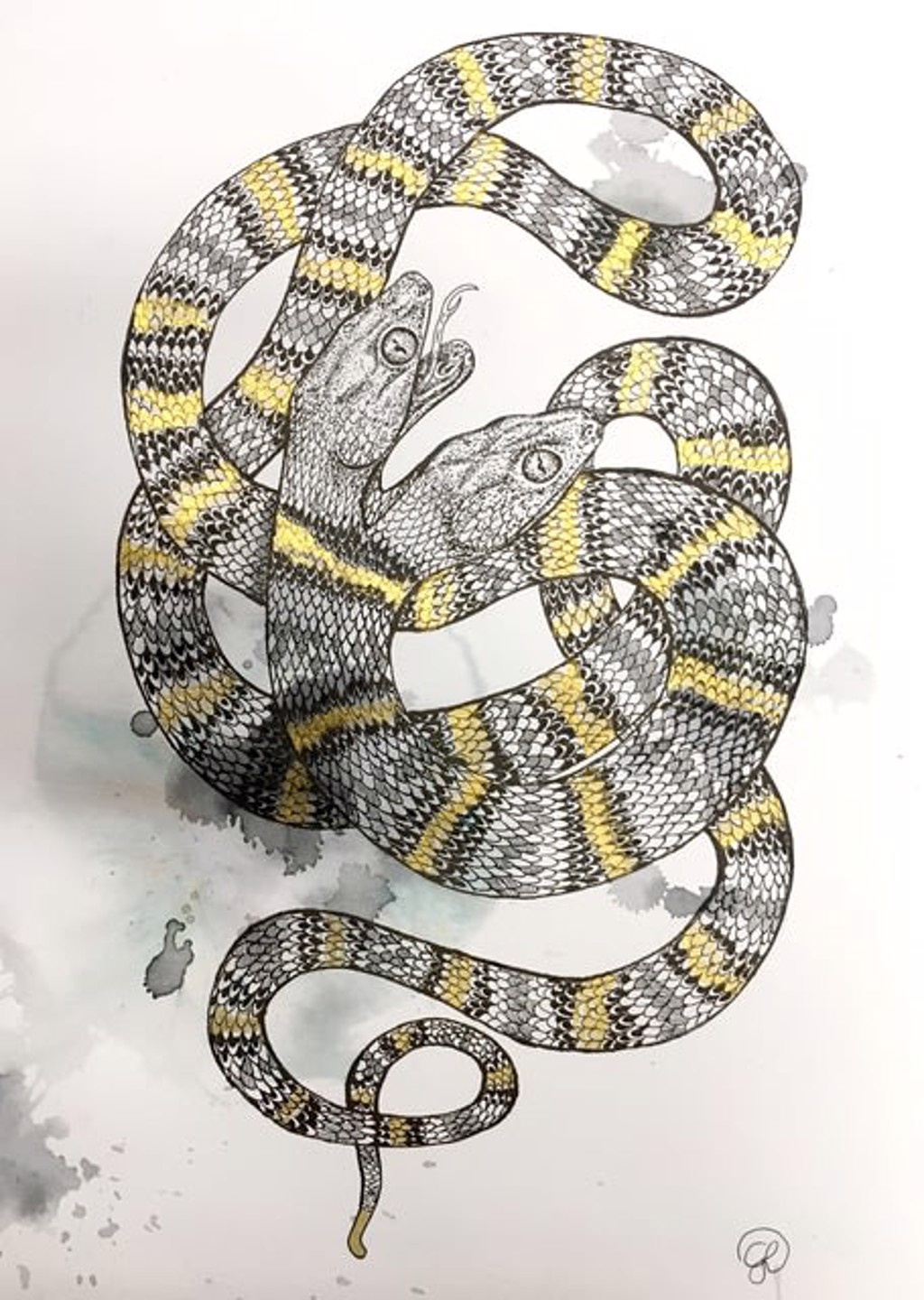 Two Headed Snake by Giulia Ronchetti