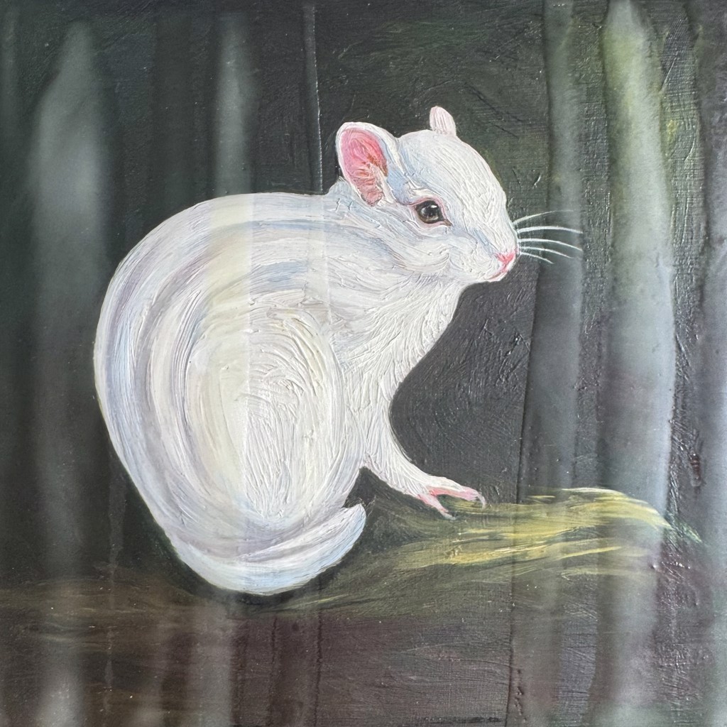 Chipmunk Fading Chipmunk - Fade to White by Marie Cameron | Andra Norris Gallery