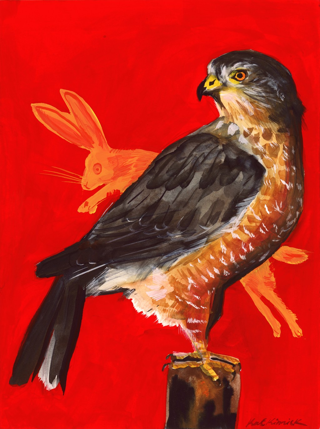 Cooper’s Hawk / On Target by Kat Kinnick