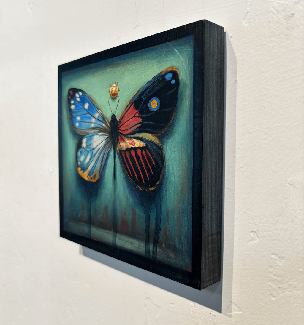 Hybrid Butterfly 44 by Stacy D'Aguiar | Abend Gallery