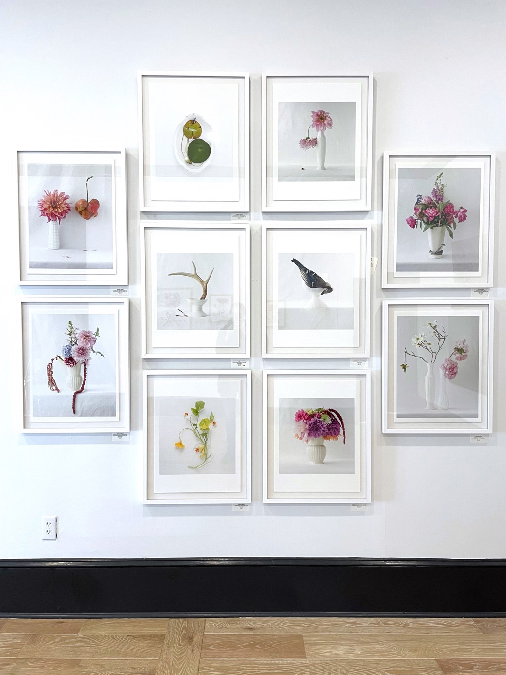 Wunderkammer - Lily Pads by Kimberly Witham