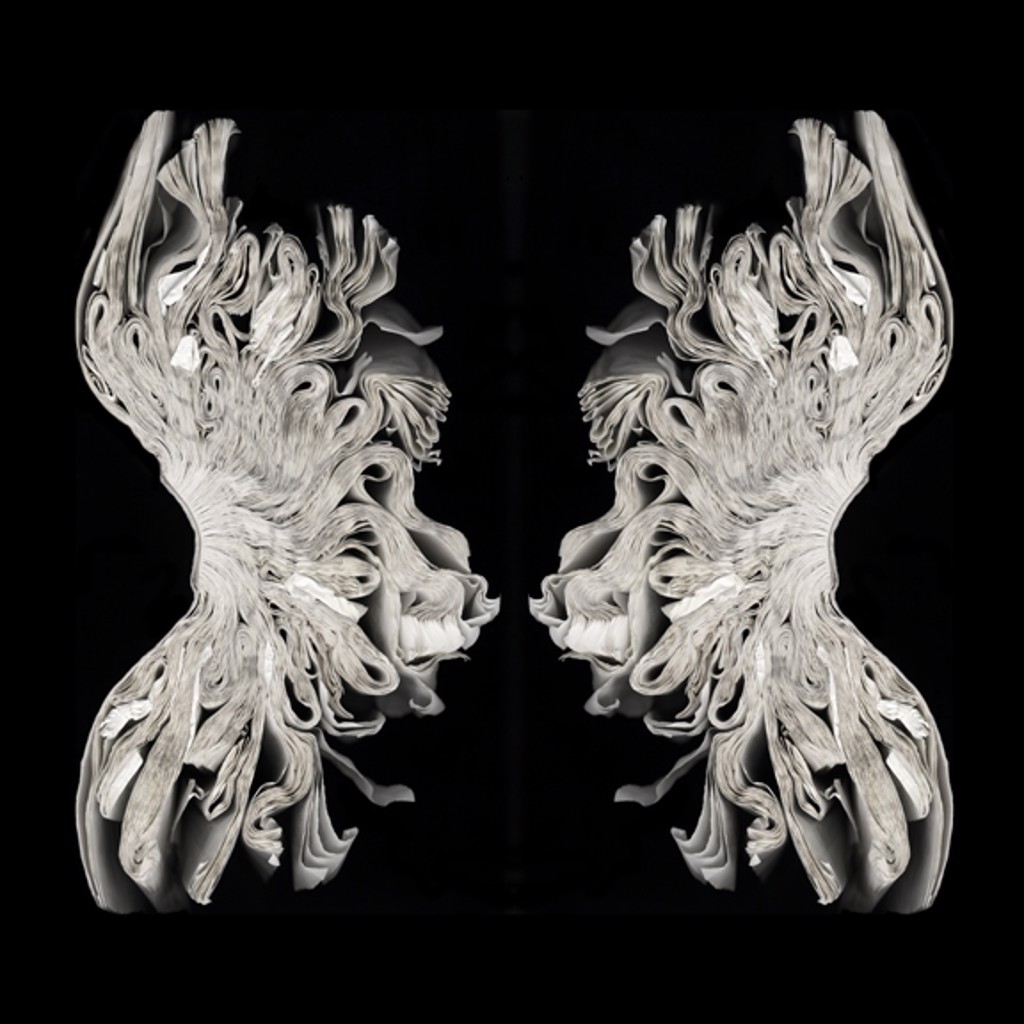 Rorschach Corset by Cara Barer