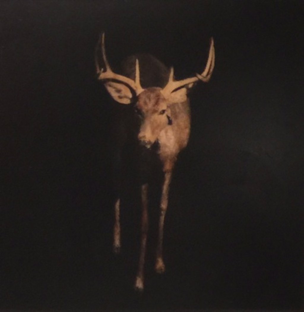 Monsiuer by Dawne Raulet