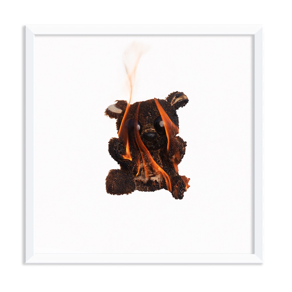 Ted | Stuffed #4 by Justin Key | Chauvet Arts