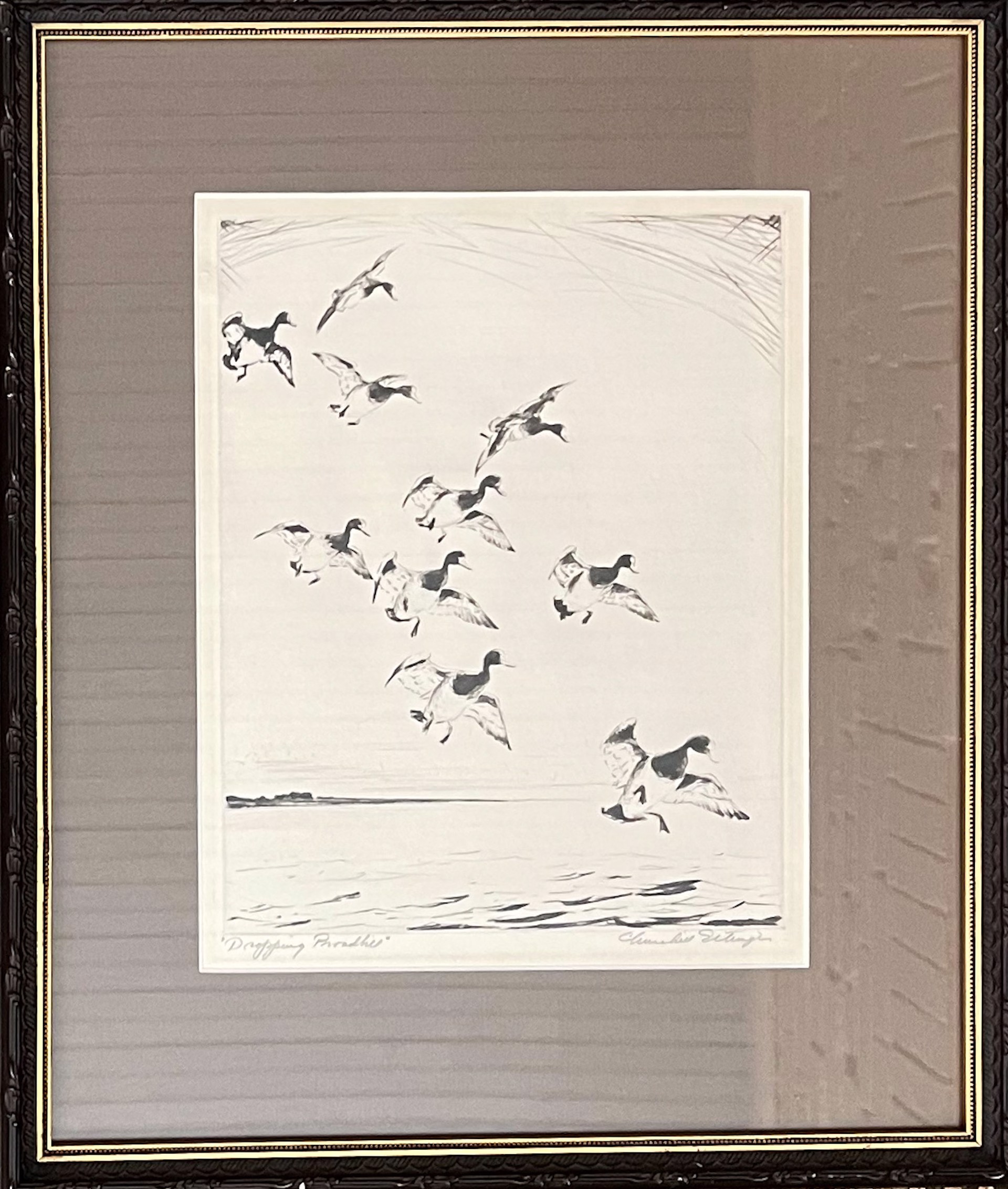 Dropping Broadbills by Churchill Ettinger