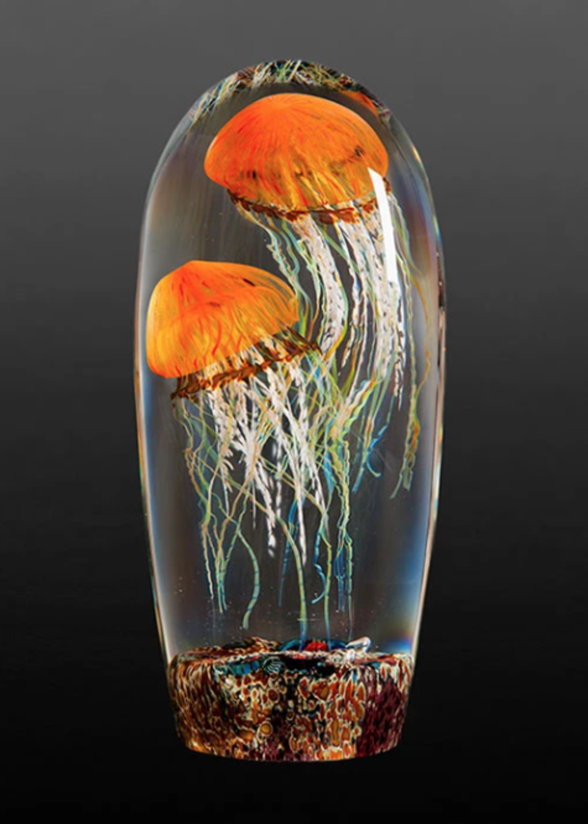 Double Pacific Coast Jellyfish by RICHARD SATAVA