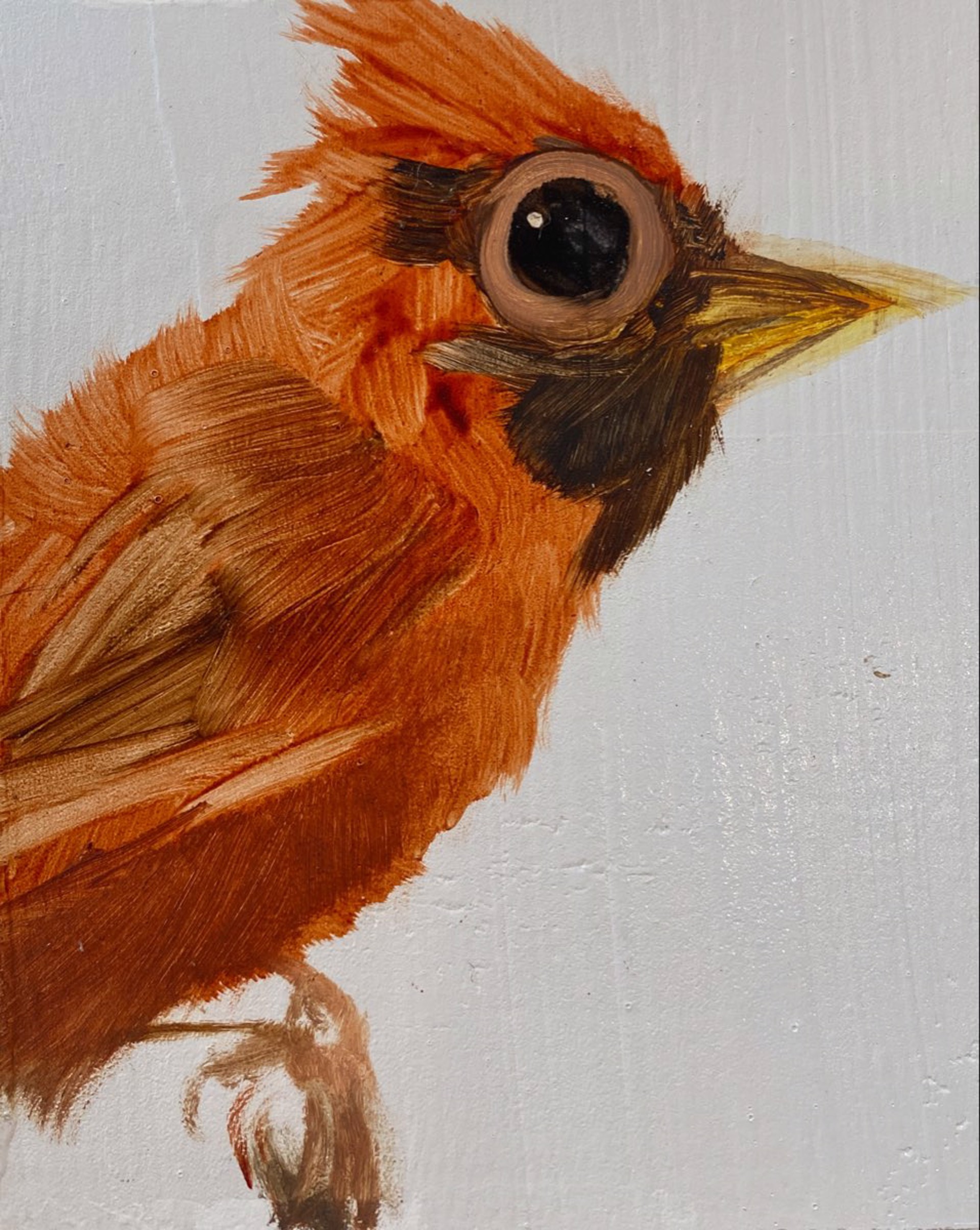Bird Block (cardinal) by Diane Kilgore Condon