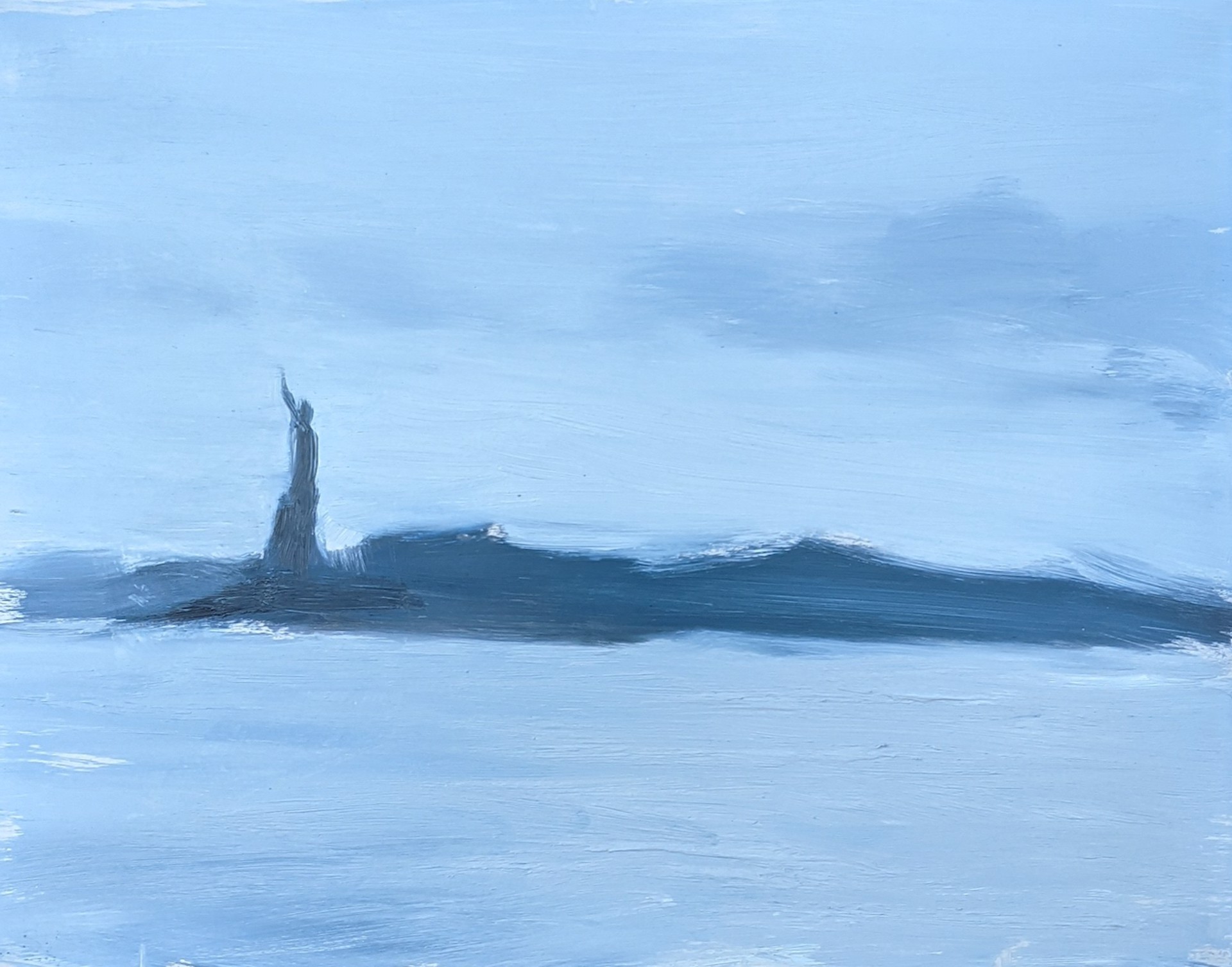 Lady Liberty  by Sahand Vaghei