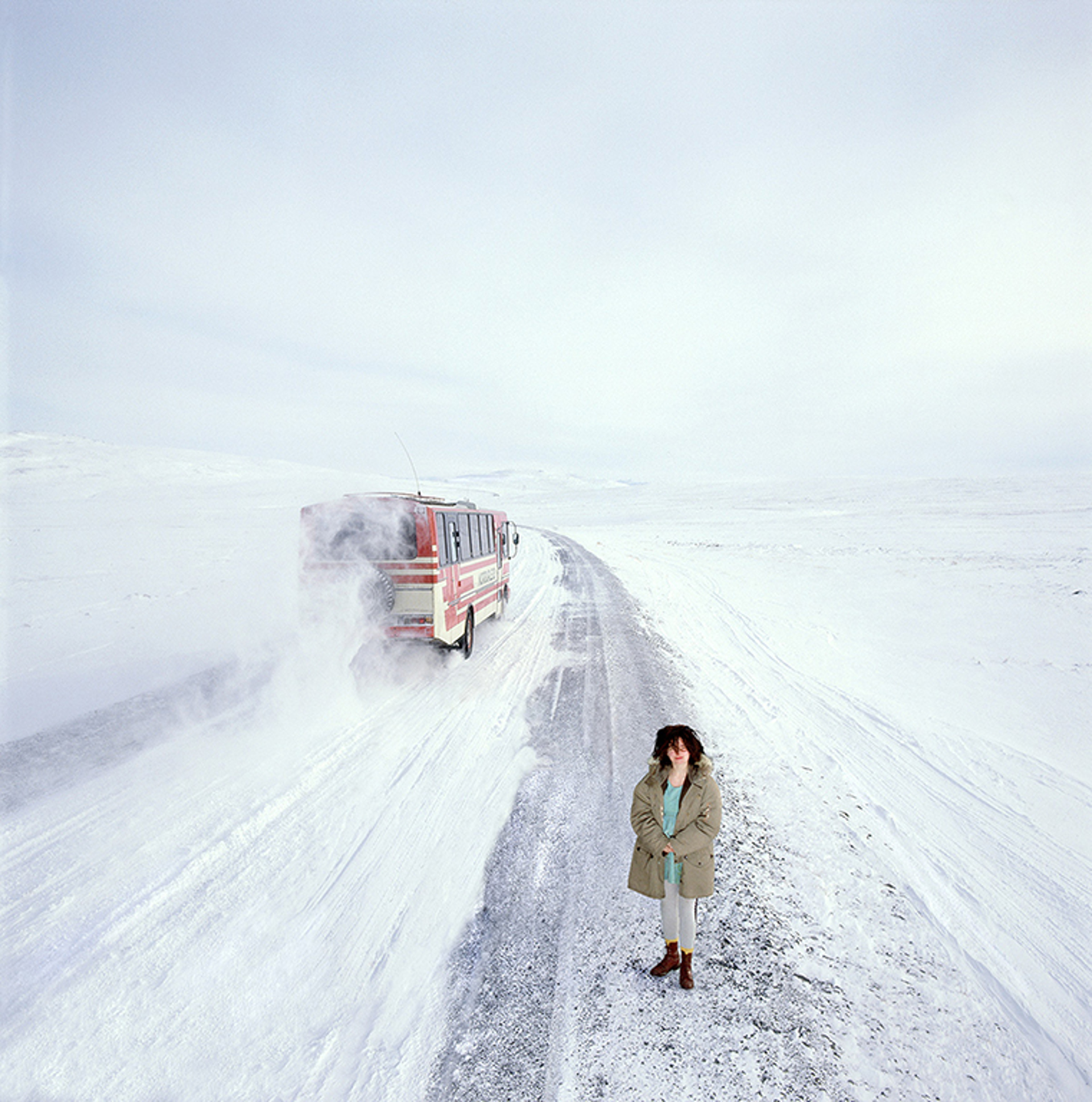 88045 Bjork Standing in Snow Color by Timothy White