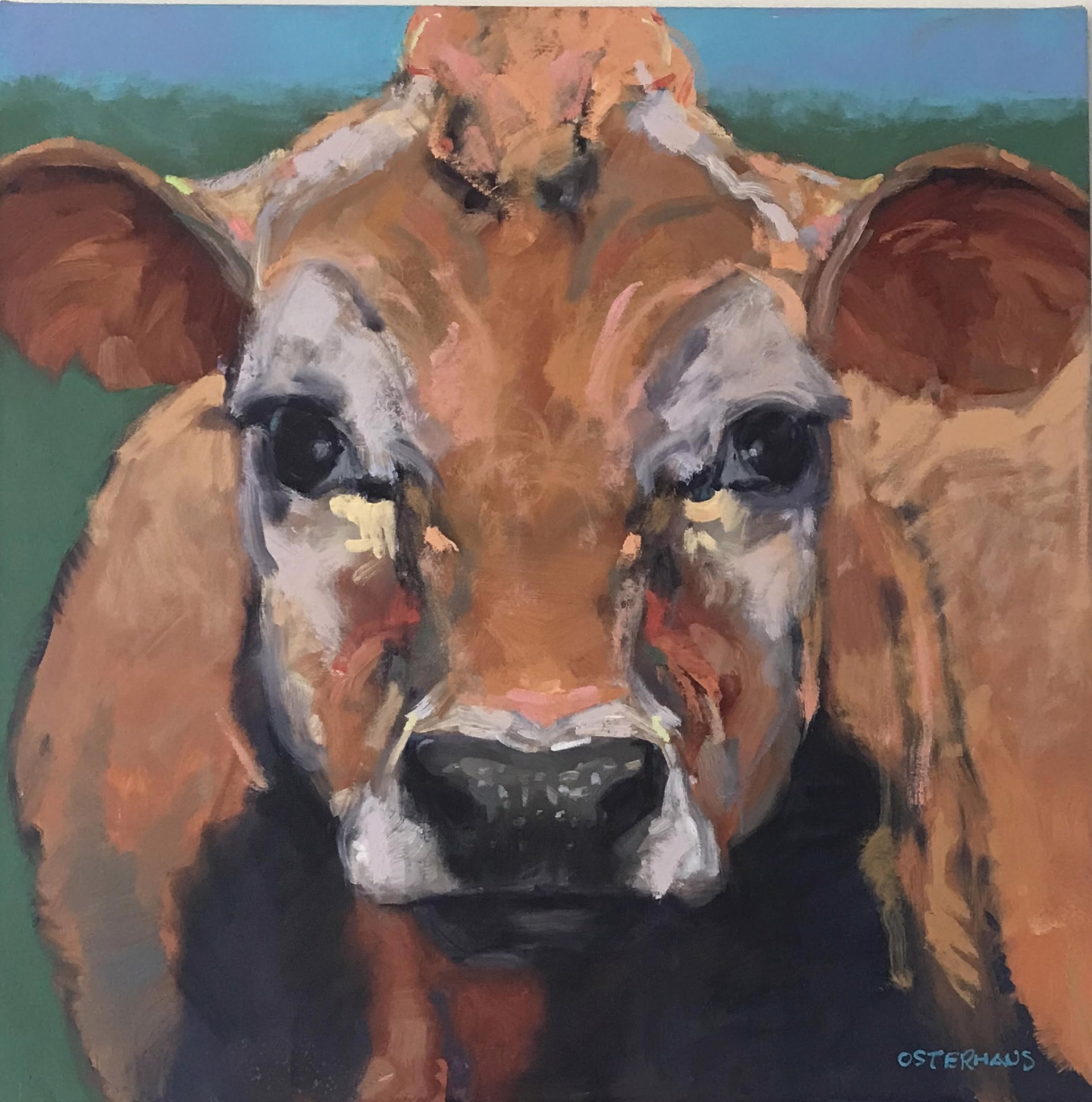 Amish Cow by Greg Osterhaus