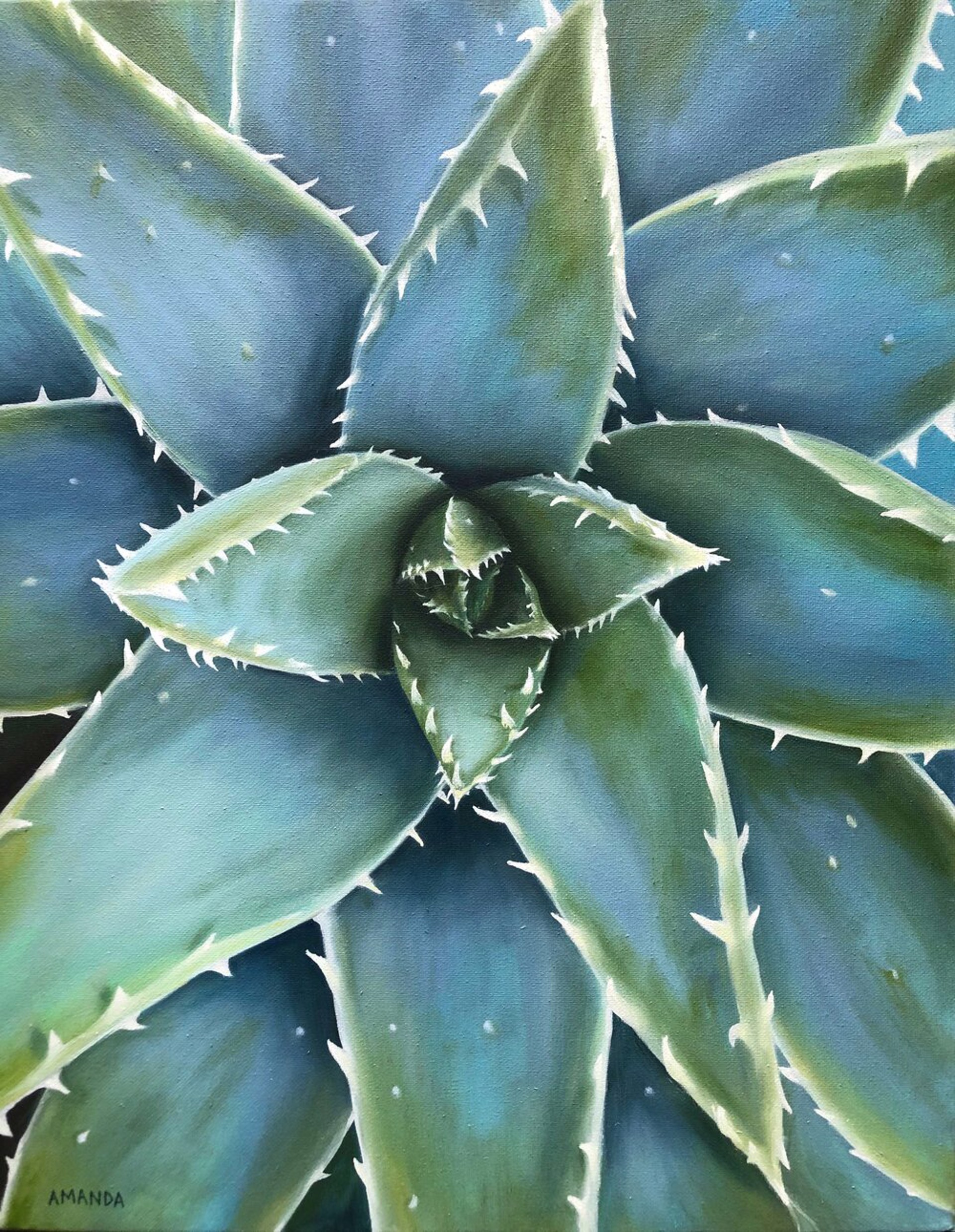 Blue Aloe by Amanda Coelho