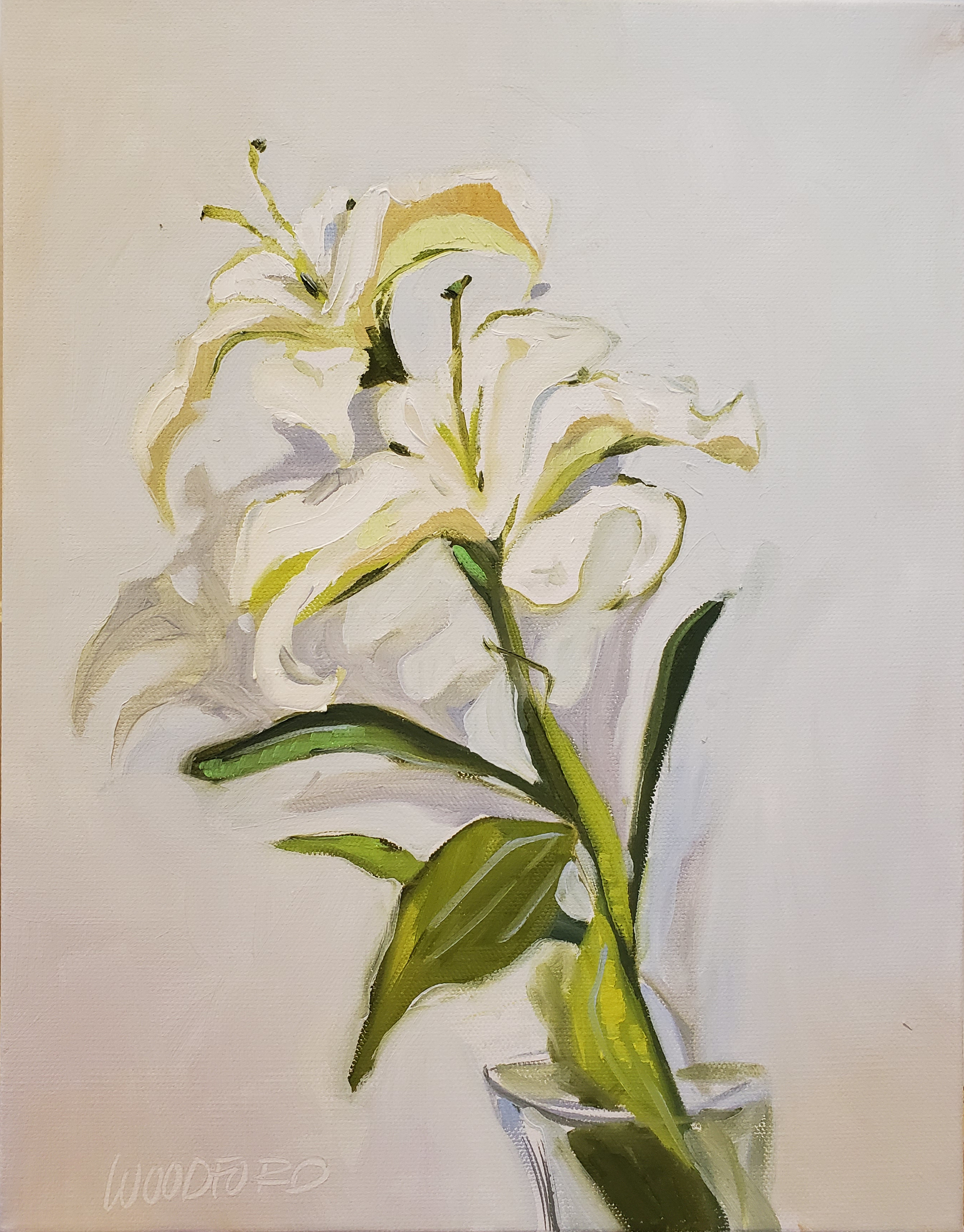 White Lilies 1 by Shannon Woodford