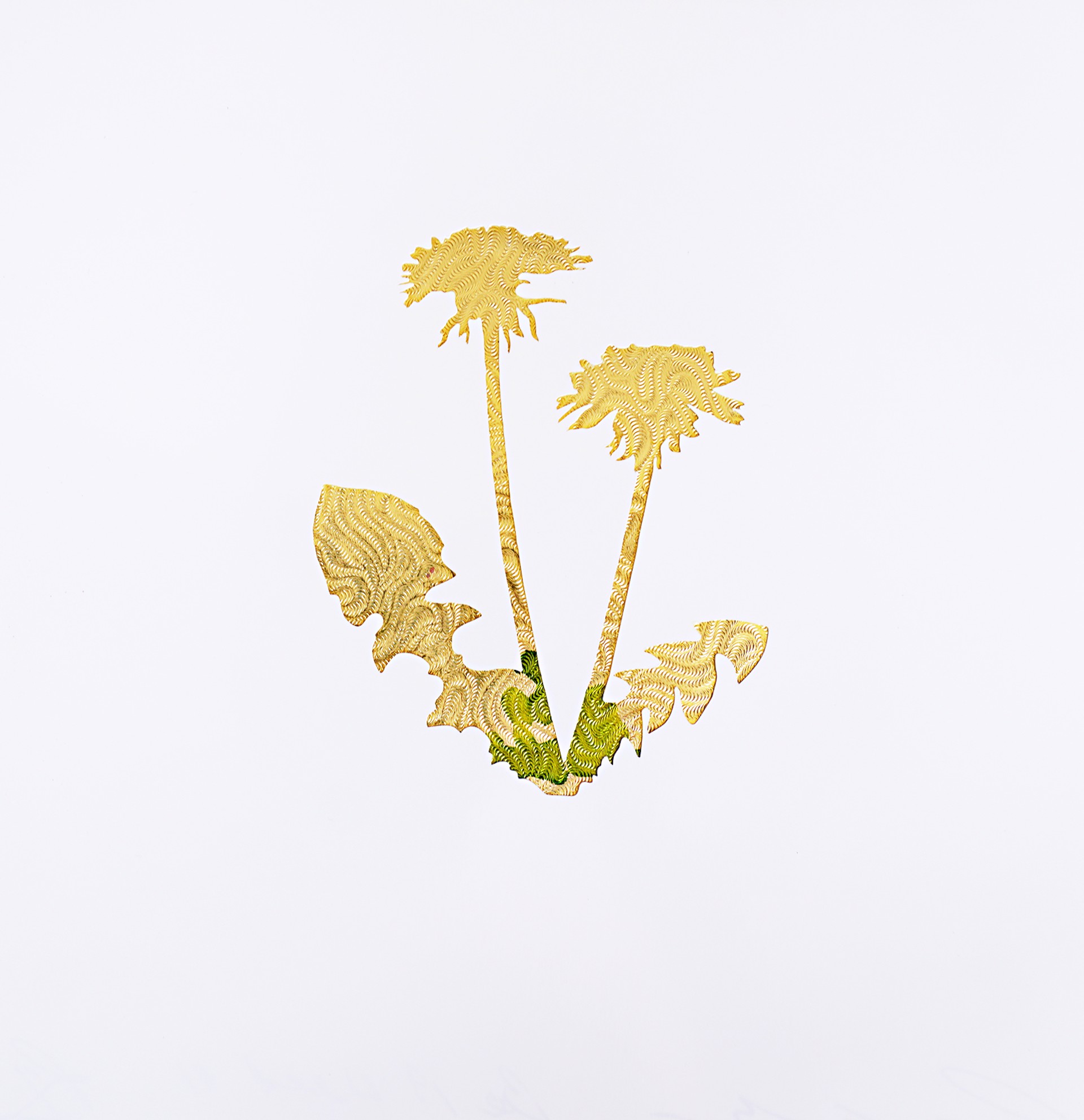 Be a Weed #2 by Ruth Ava Lyons
