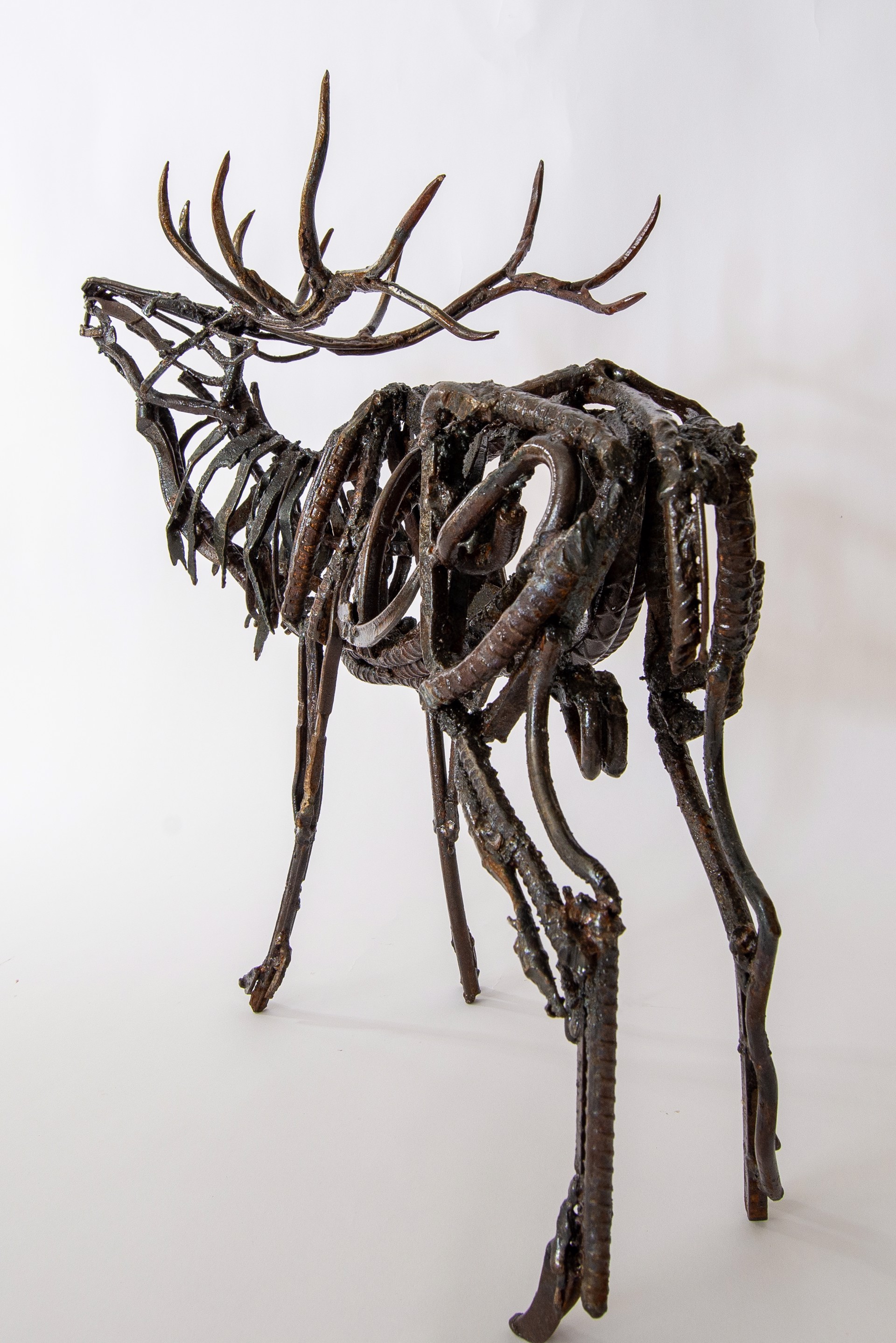 Small Calling Elk by Wendy Klemperer