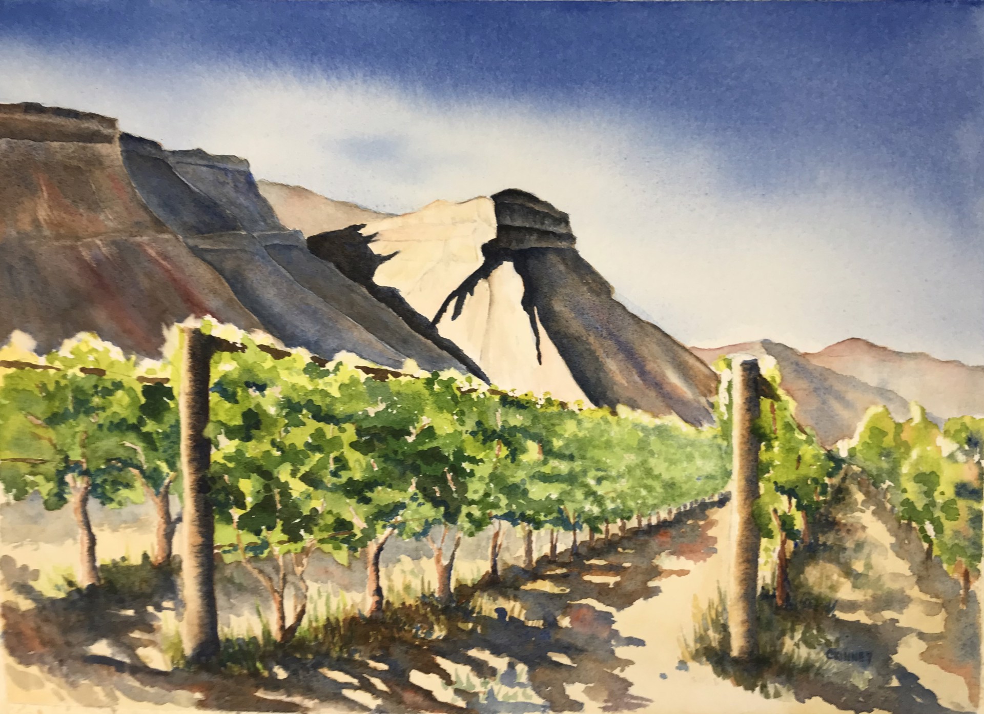 Colorado Vineyard by Cindy Kinney