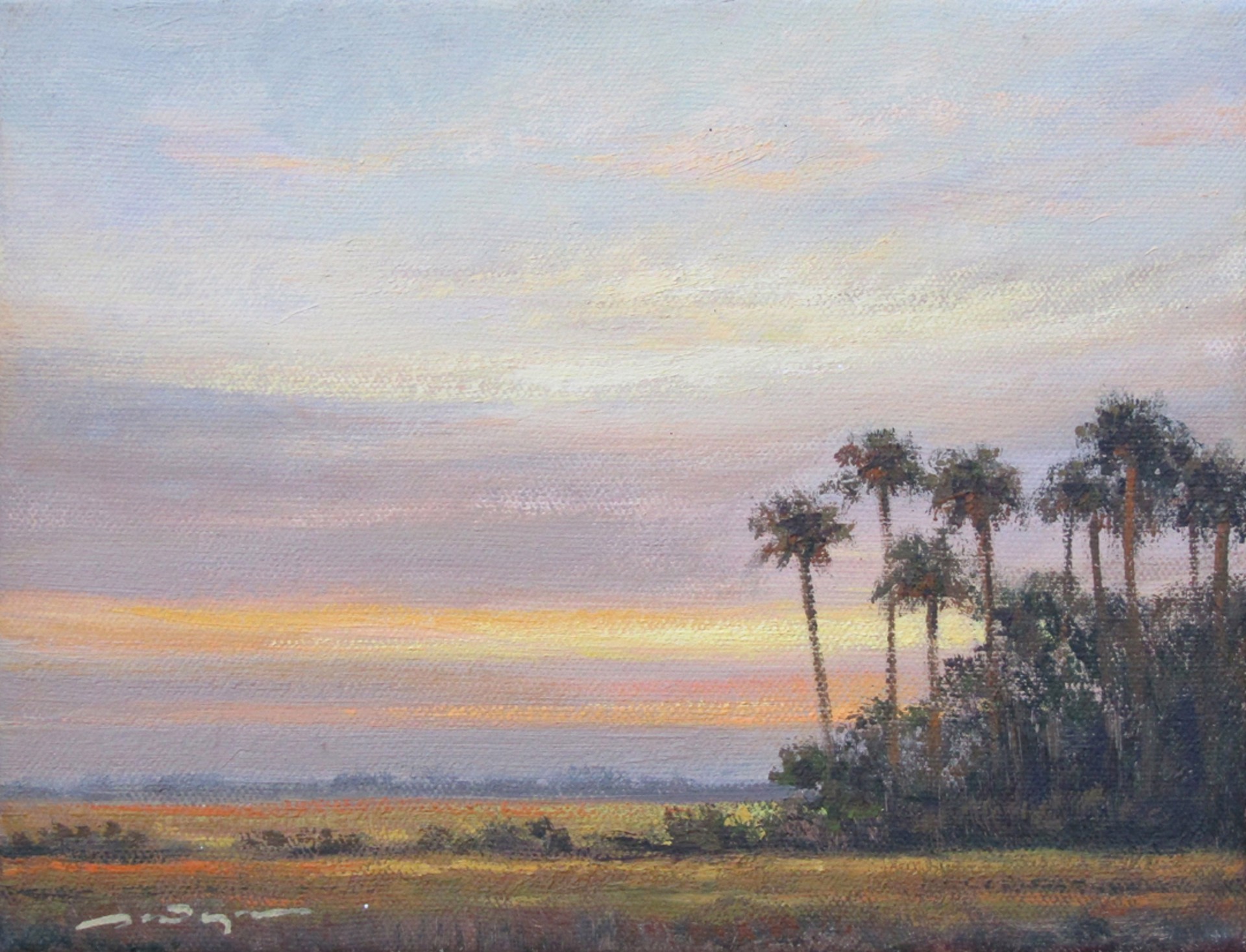 Sunrise Colors by Peter Pettegrew