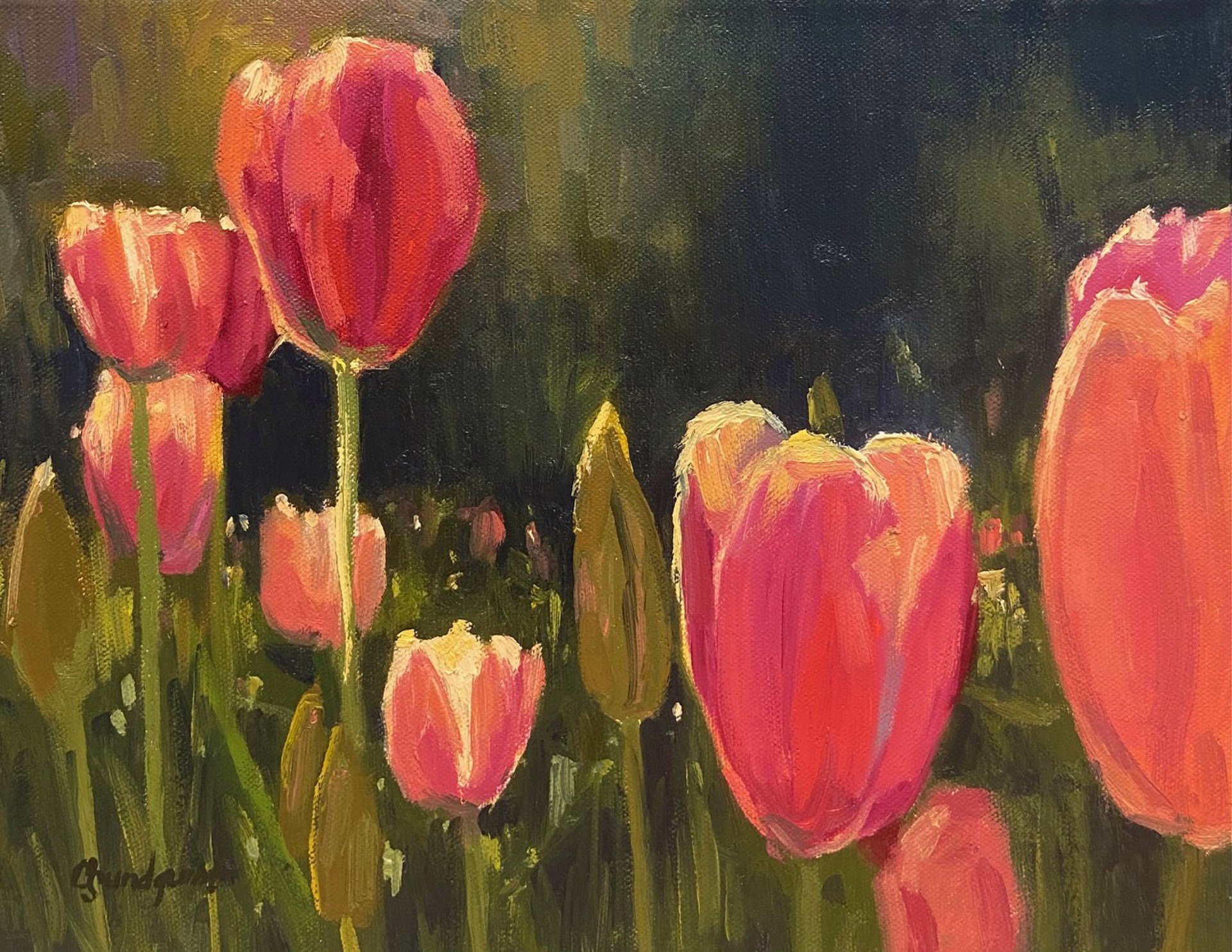 Tulips by Cristine Sundquist