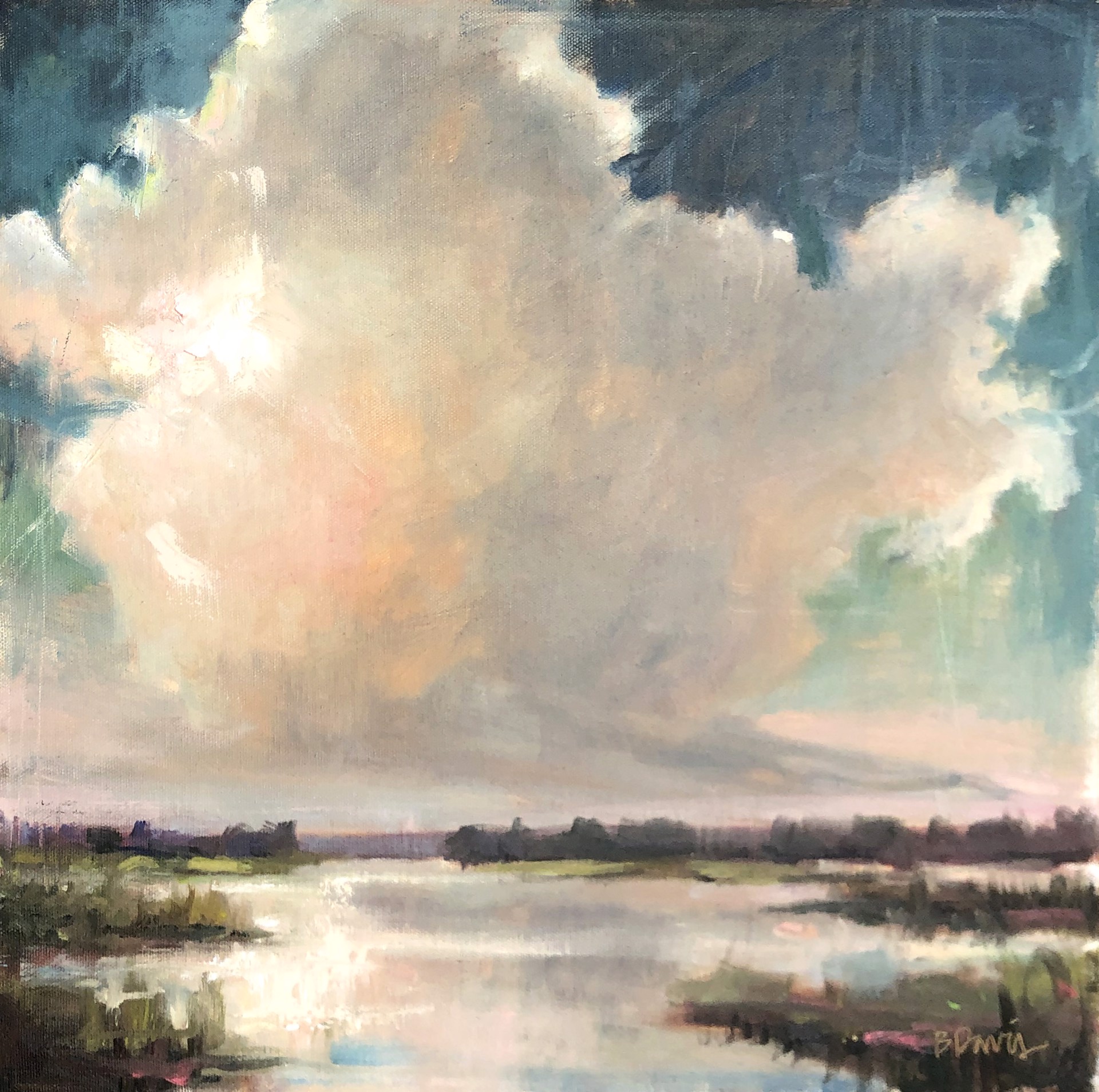 Cloud Painting Demo by Barbara Davis