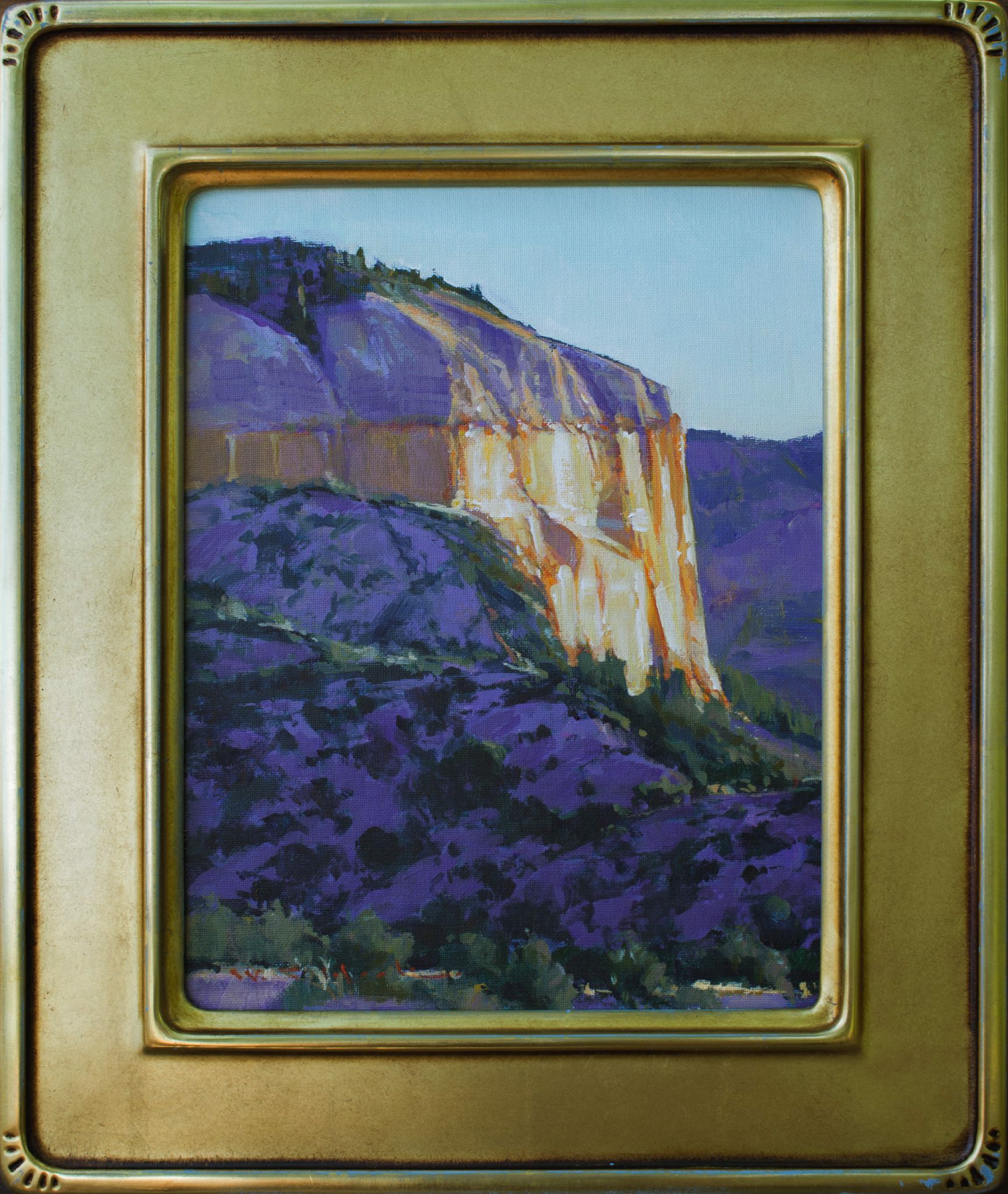 Yellow Mesa by William C. Hook