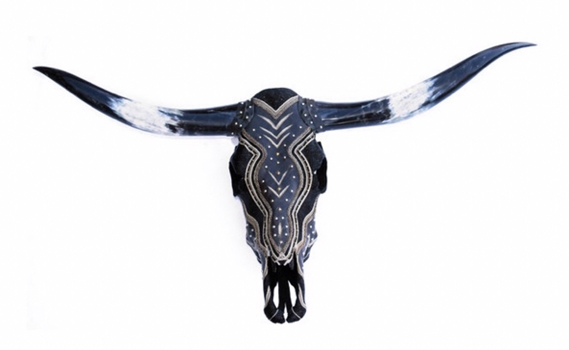 Black Leather Studded Longhorn by Ali Rouse
