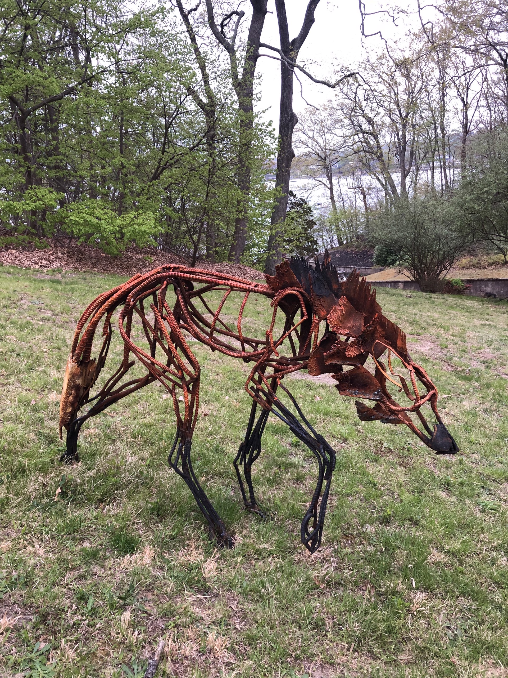 Maned Wolf by Wendy Klemperer