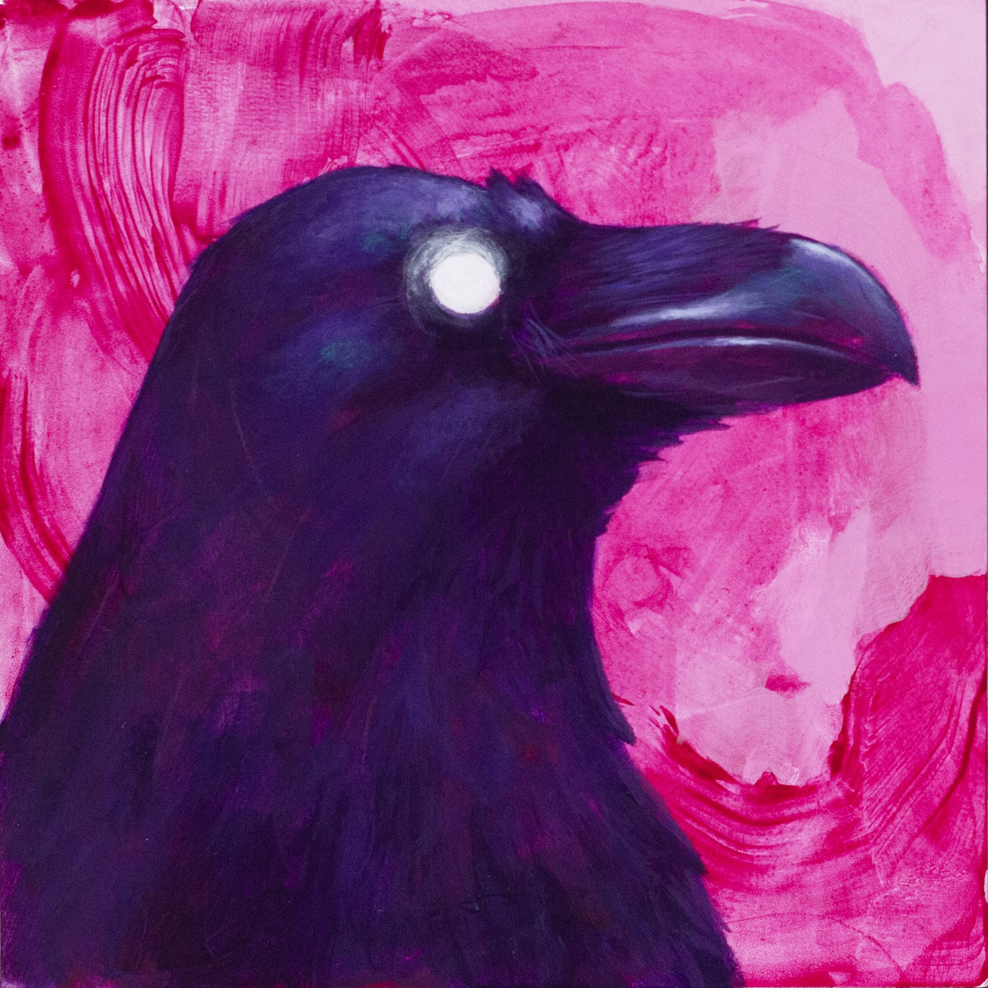 Raven by Cody Jimenez