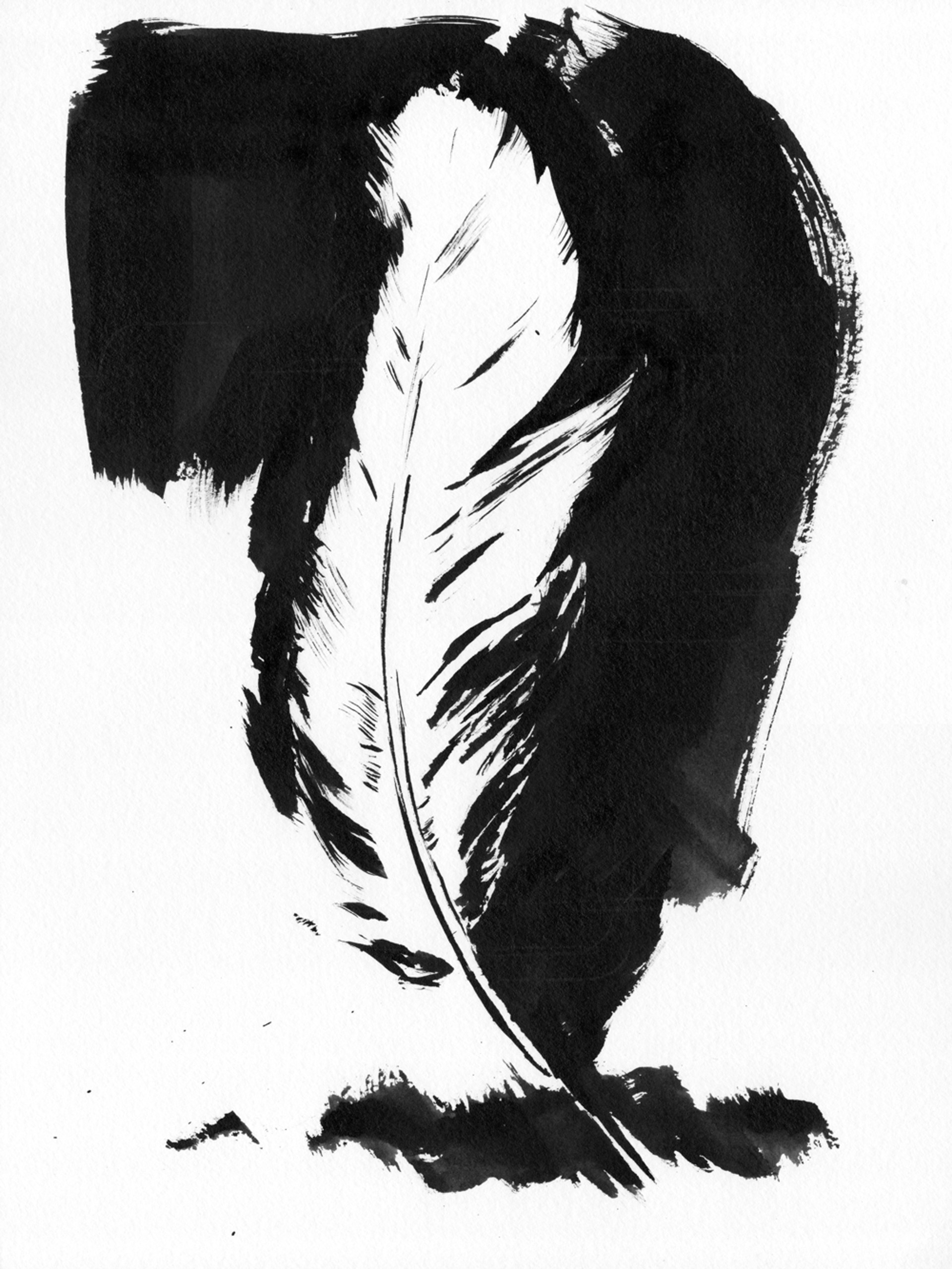 Feather 13 by Alberto Mier