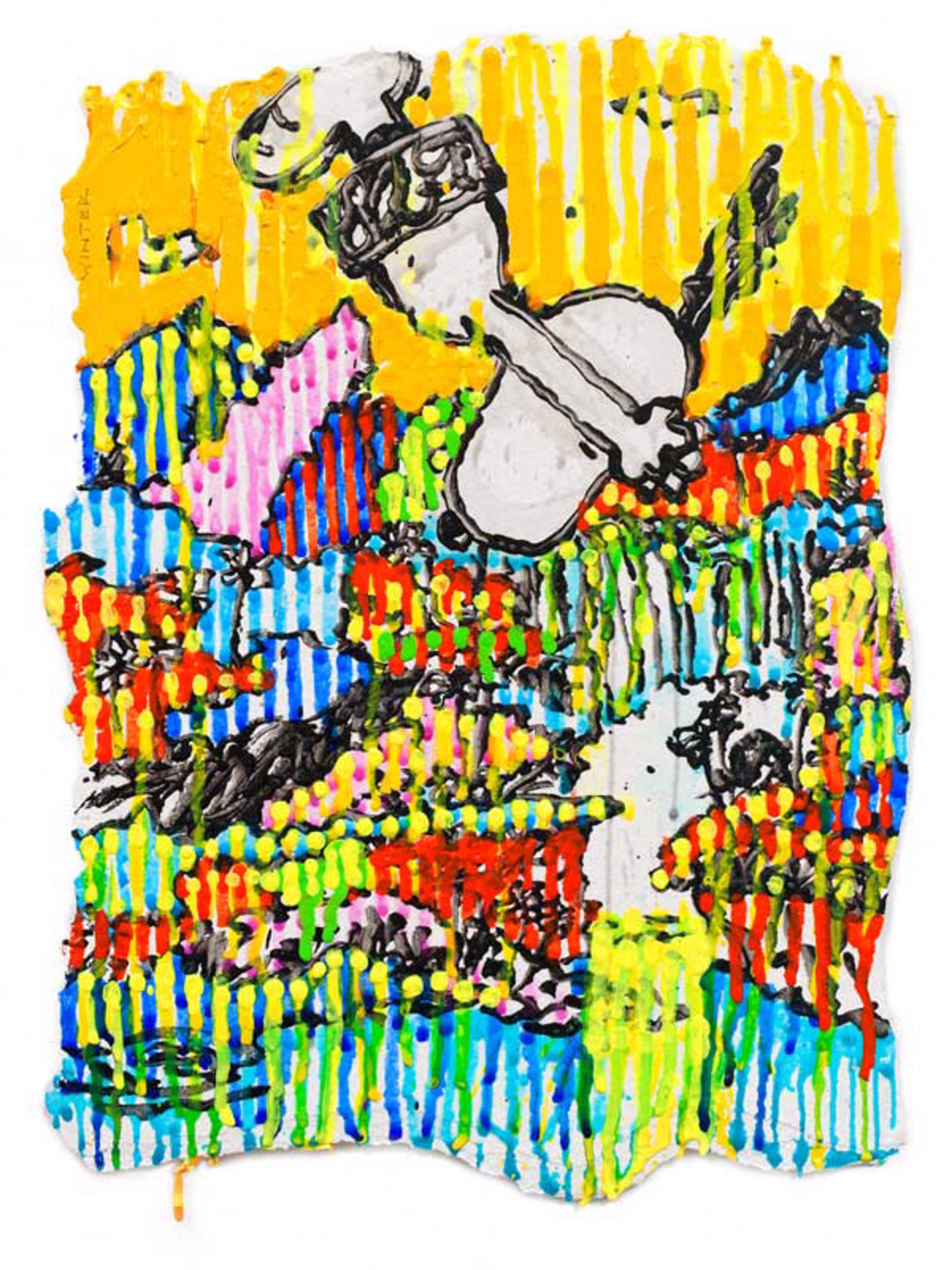 Super Fly - Winter by Tom Everhart