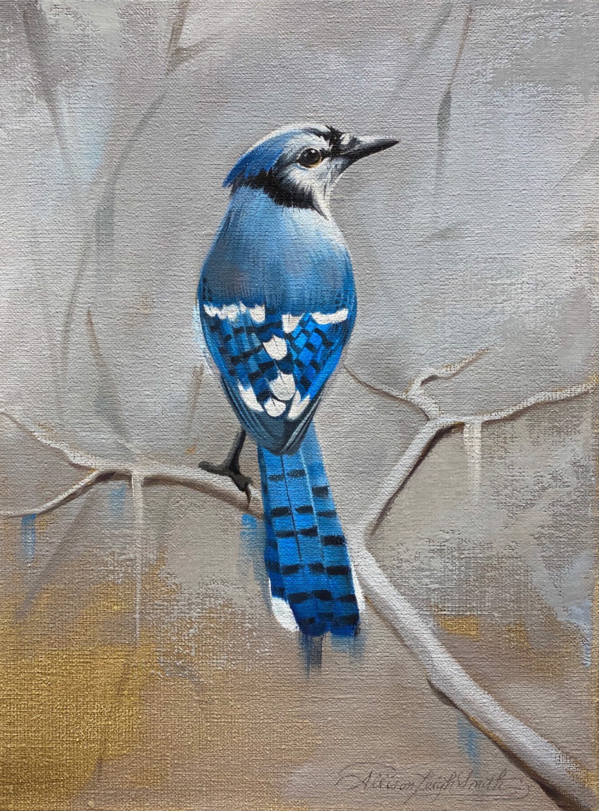 Blue Jay by Allison Leigh Smith