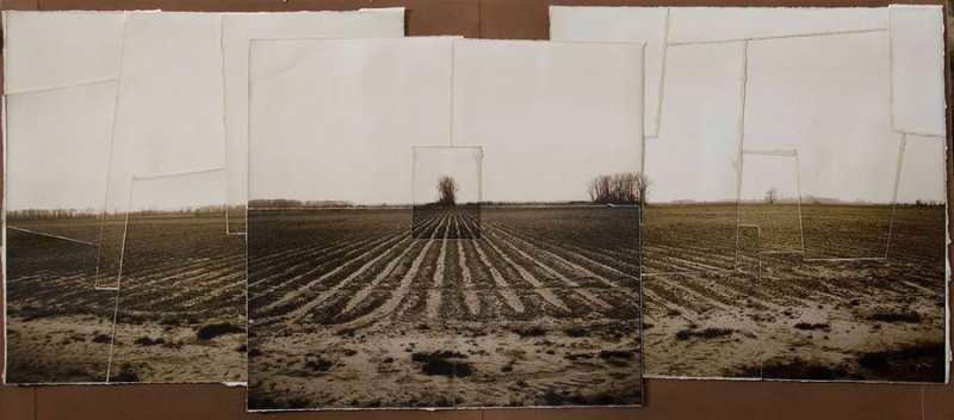 Field Rows by George Yerger