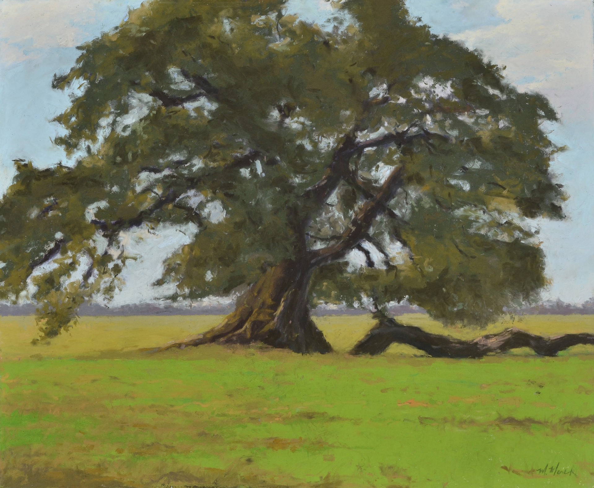 Live Oak by Mary Monk