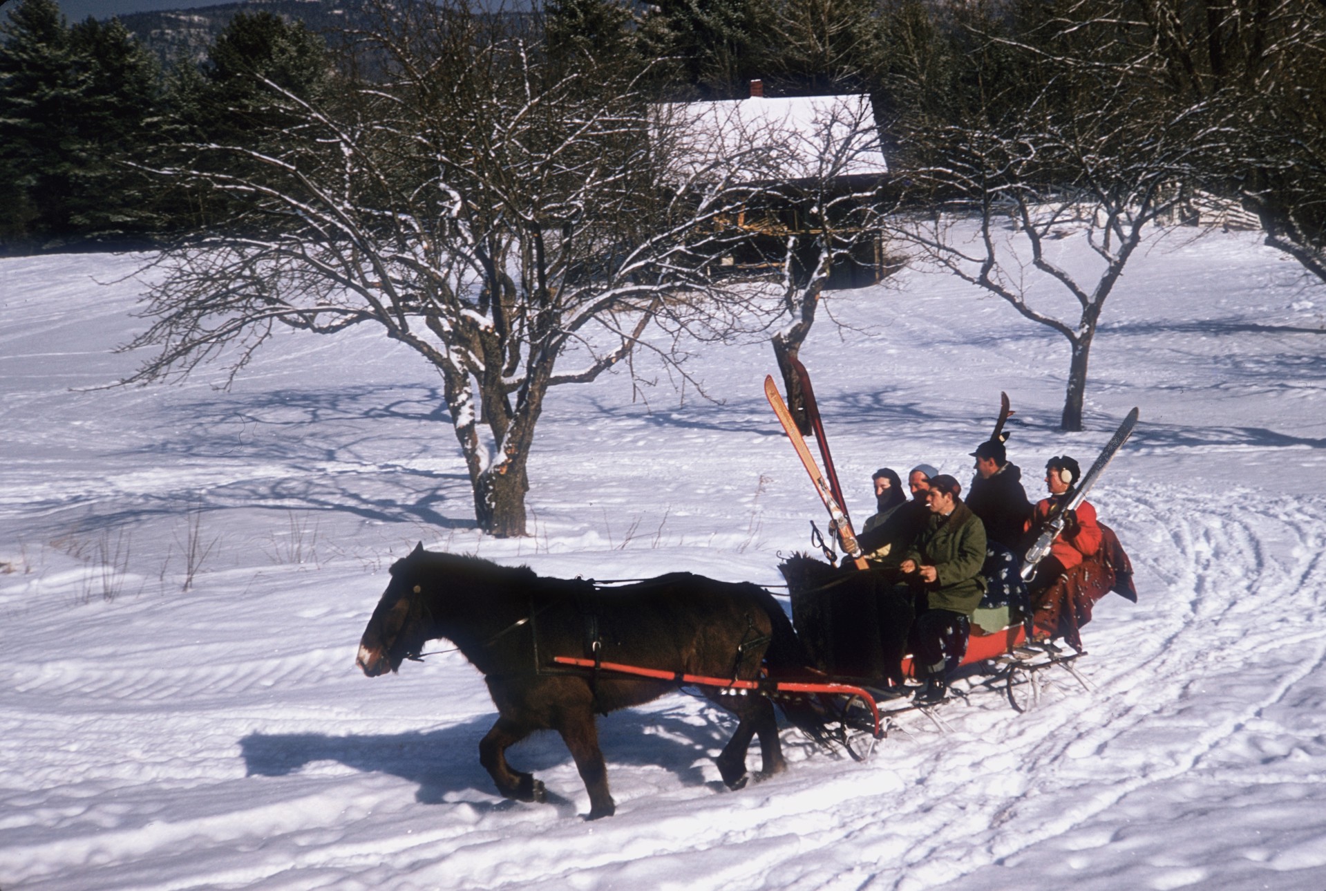 North Conway Sleigh by Slim Aarons