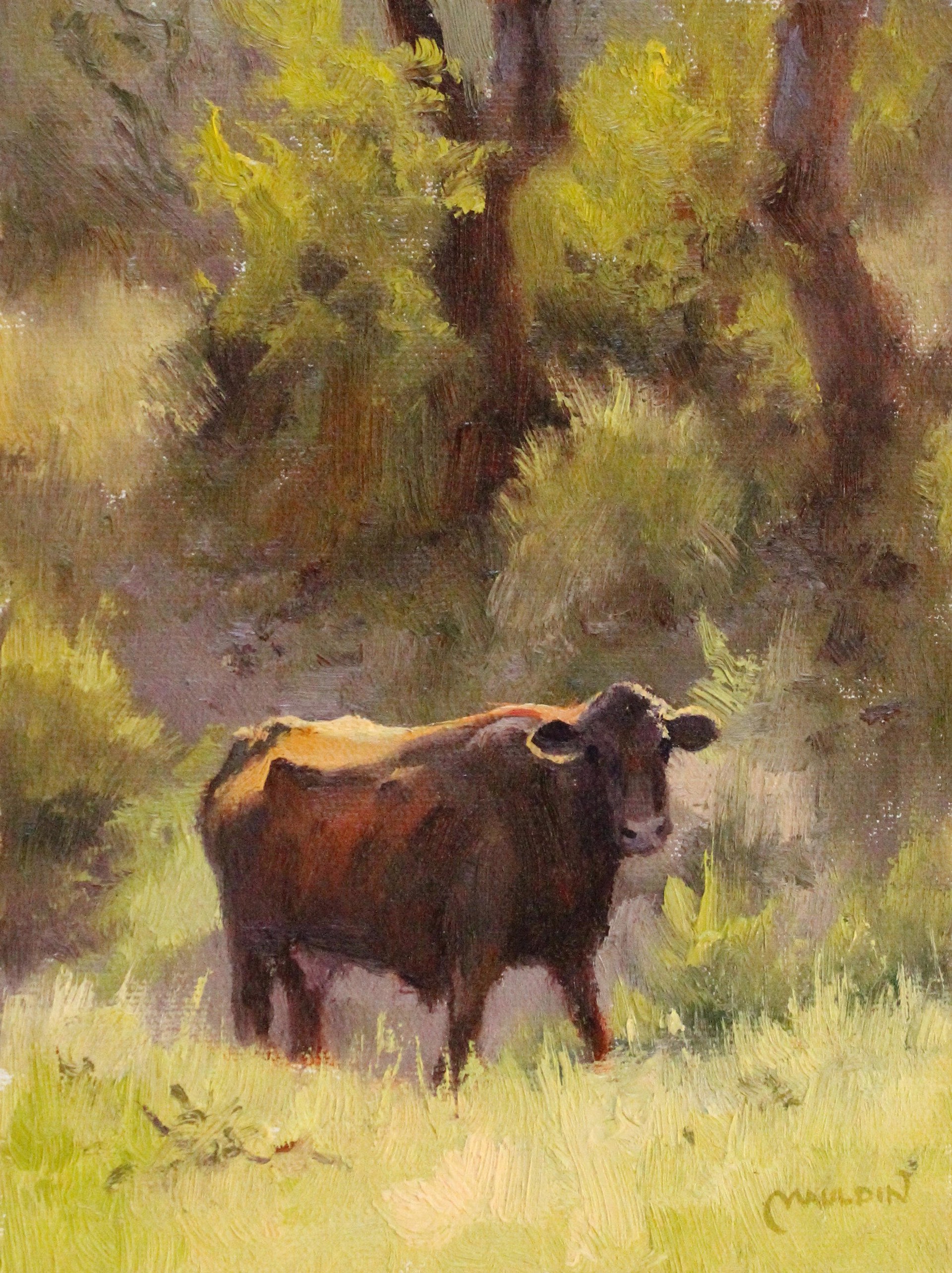 Brown Cow by Chuck Mauldin