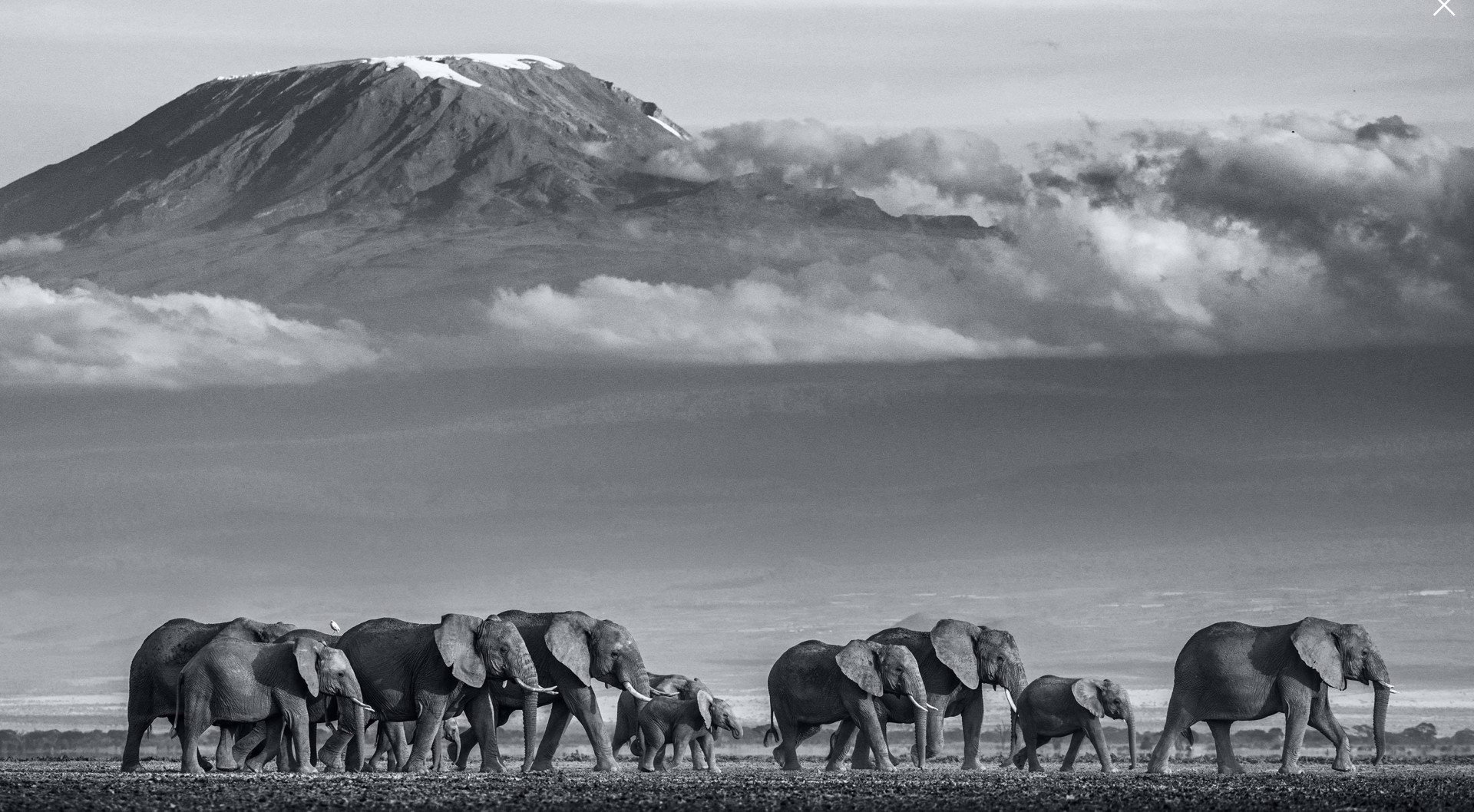 Walk the Line by David Yarrow