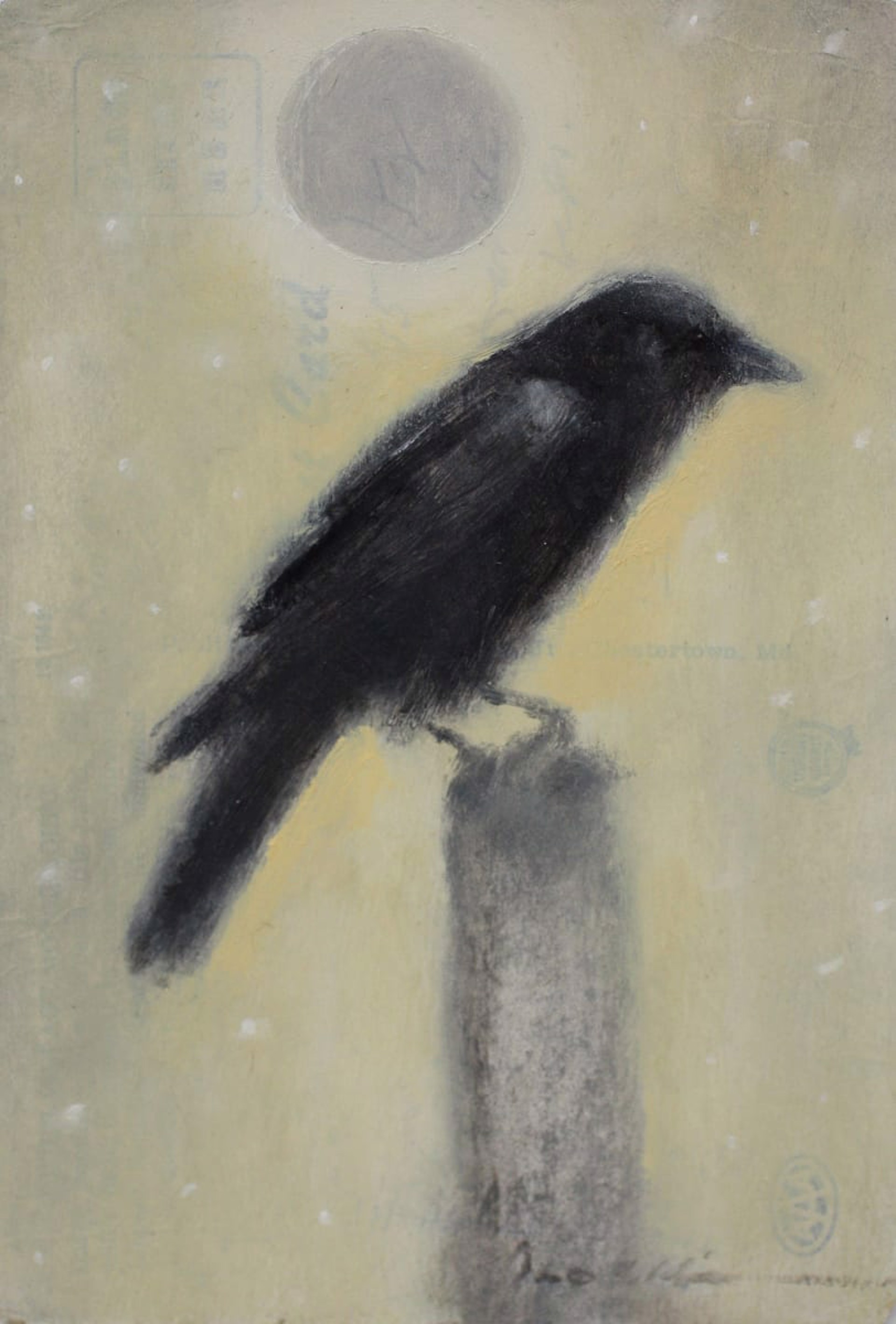 Raven by Scott E. Hill