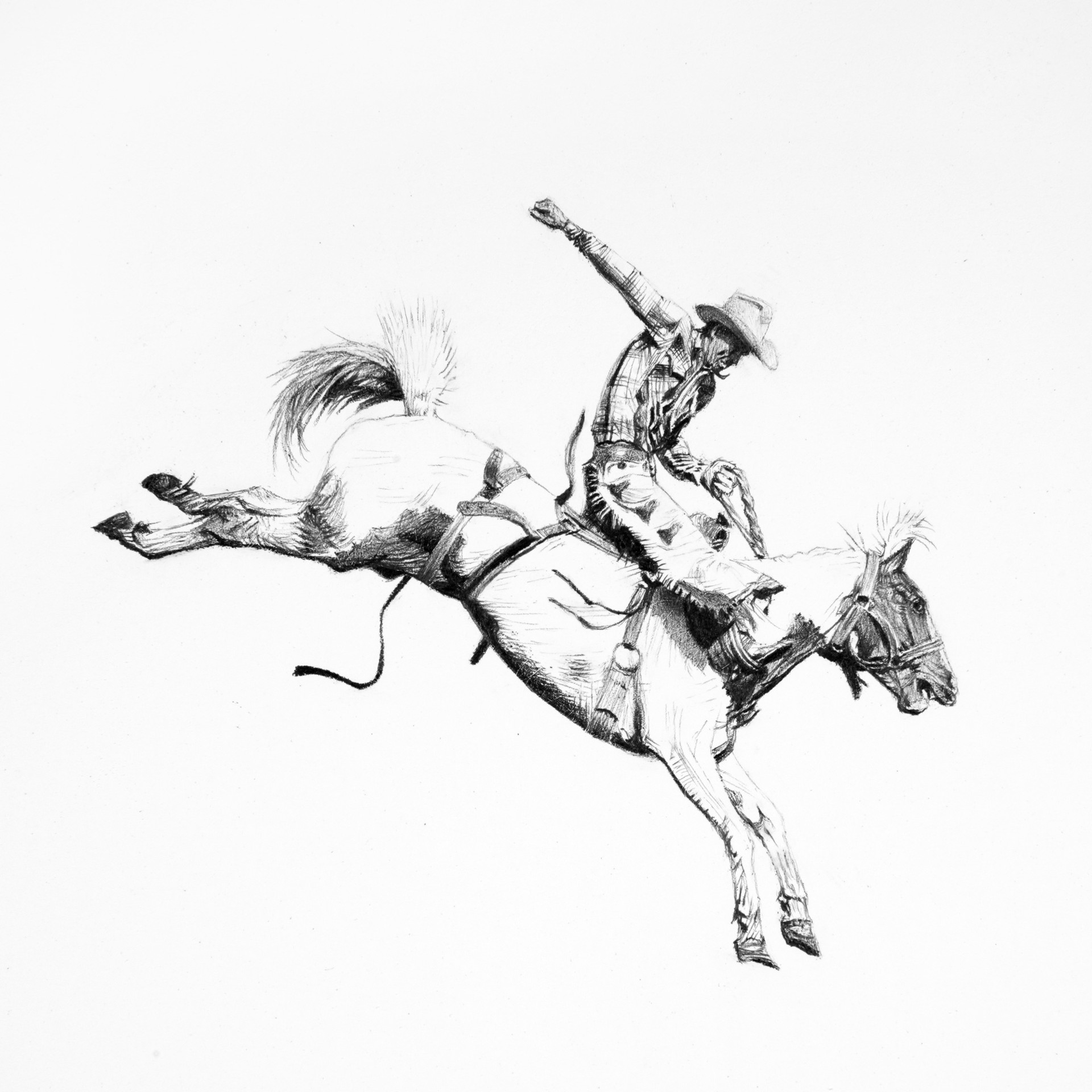 Untitled (bronc rider) 6822 by Clayton Porter