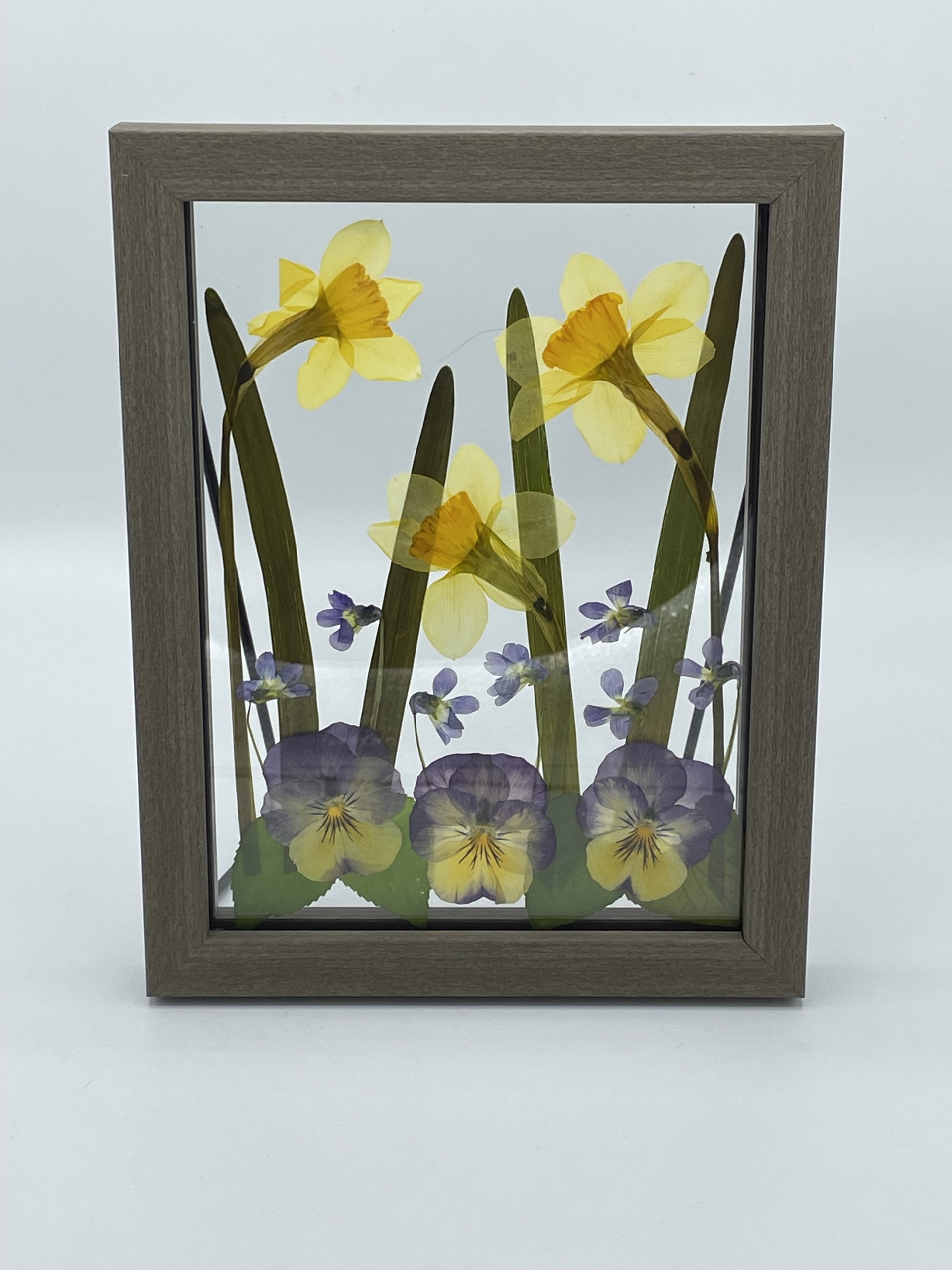 A Host of Golden Daffodils by Joy Ellis
