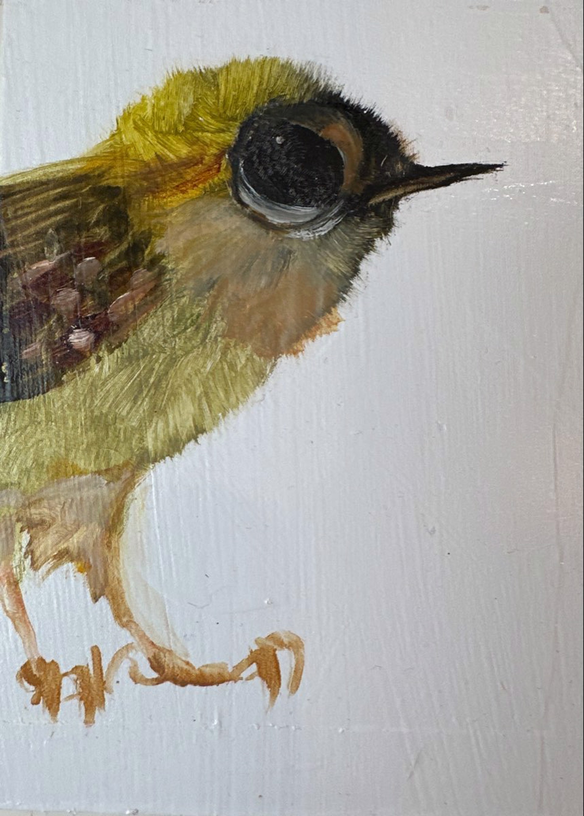 Bird Block (yellow belly) by Diane Kilgore Condon