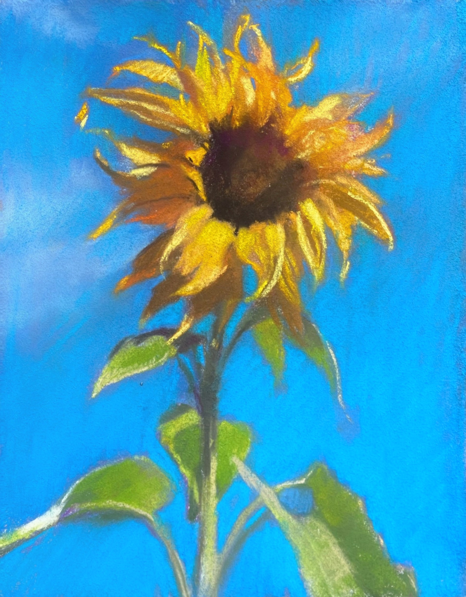 Sedona Sunflower by Bruce A Gomez
