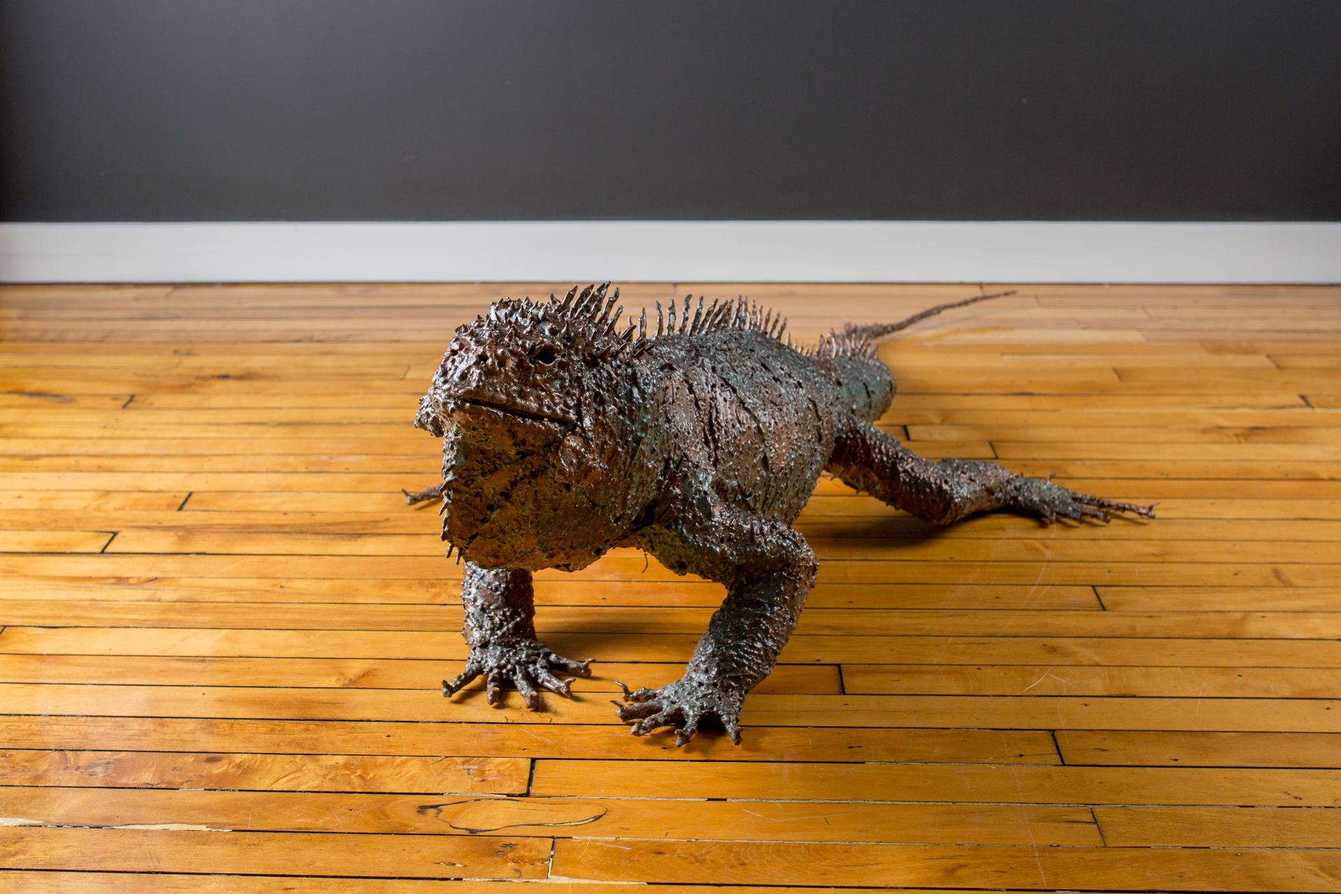 Large Iguana by William Allen