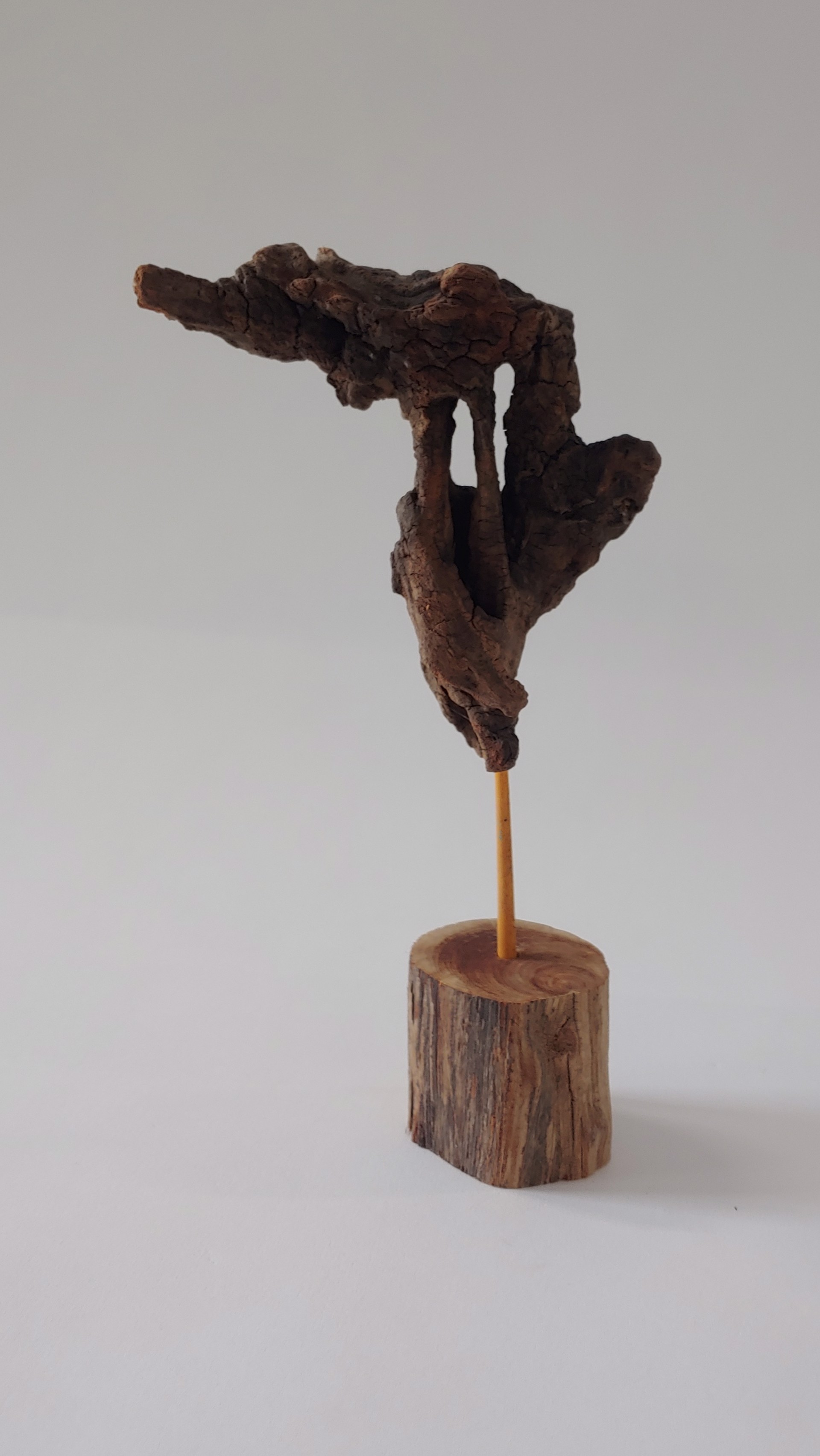Abstract - Wood Sculpture by David Amdur
