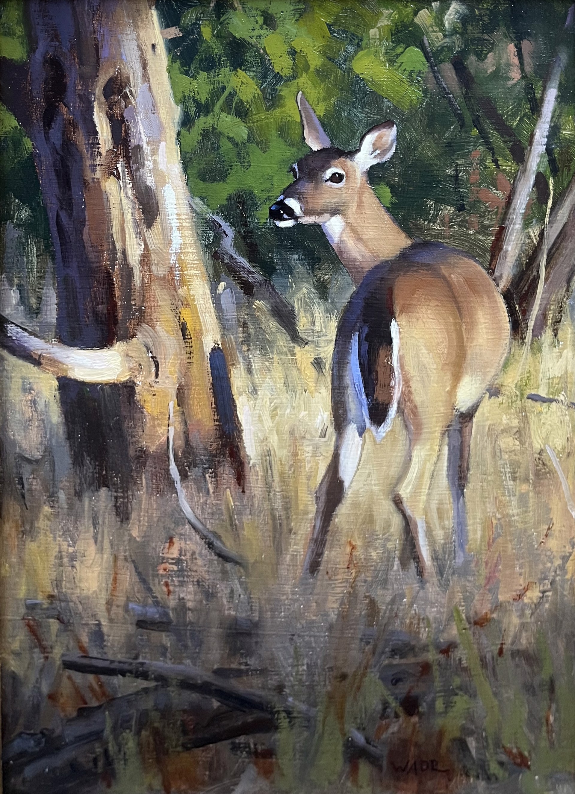 Whitetail Doe by Dave Wade | Wilcox Gallery