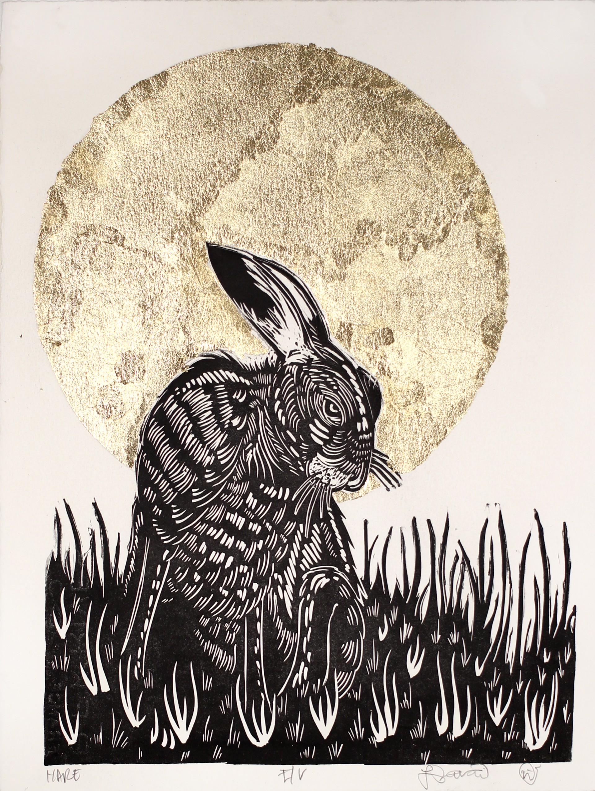 Hare (EV) by Luis Garcia