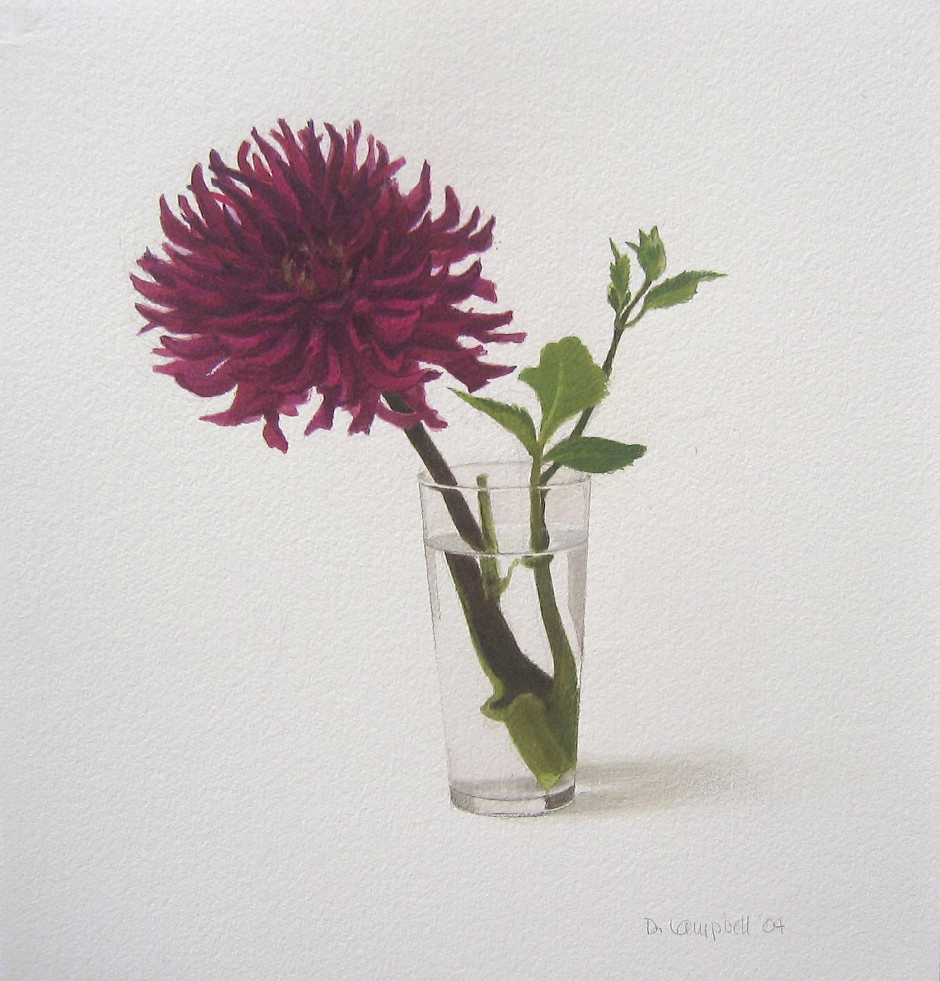 Zinnia in a Glass by Donald Campbell
