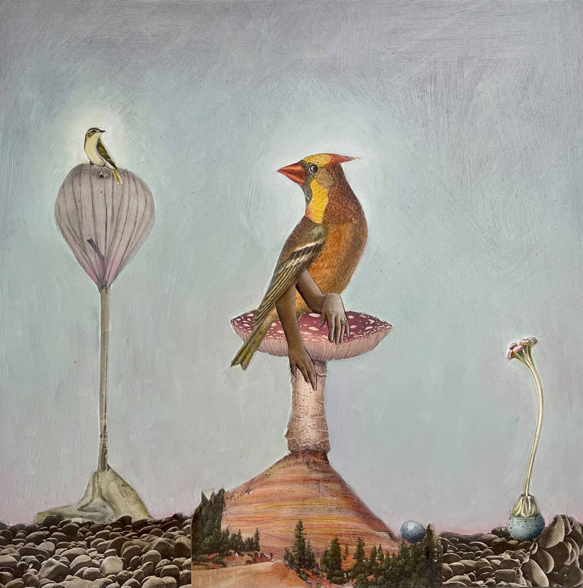 Mushroom Perch by Suzanne Sbarge