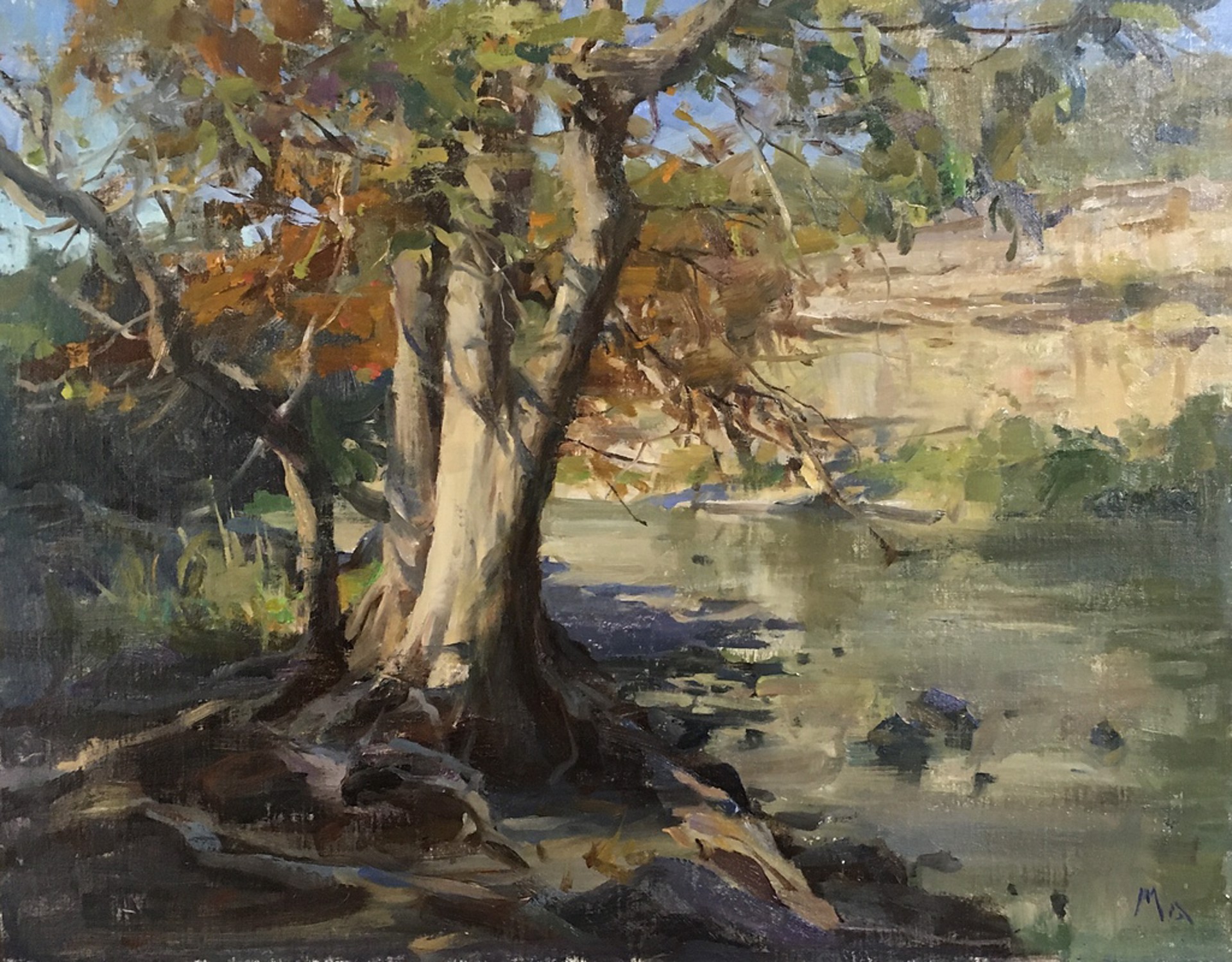 Guadalupe River Autumn by Kyle Ma